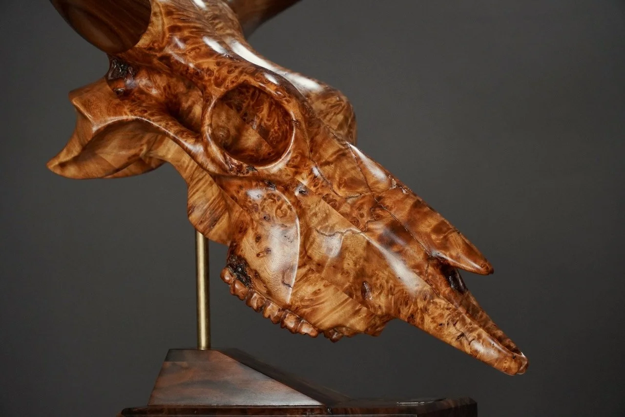 Bullseye,  Blake McFarland BM sculptures Bull Skull
