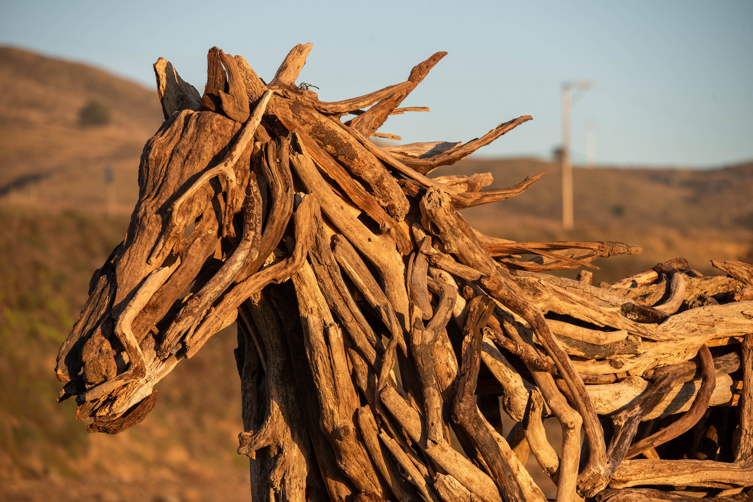 Blake McFarland Driftwood Horse BM sculptures