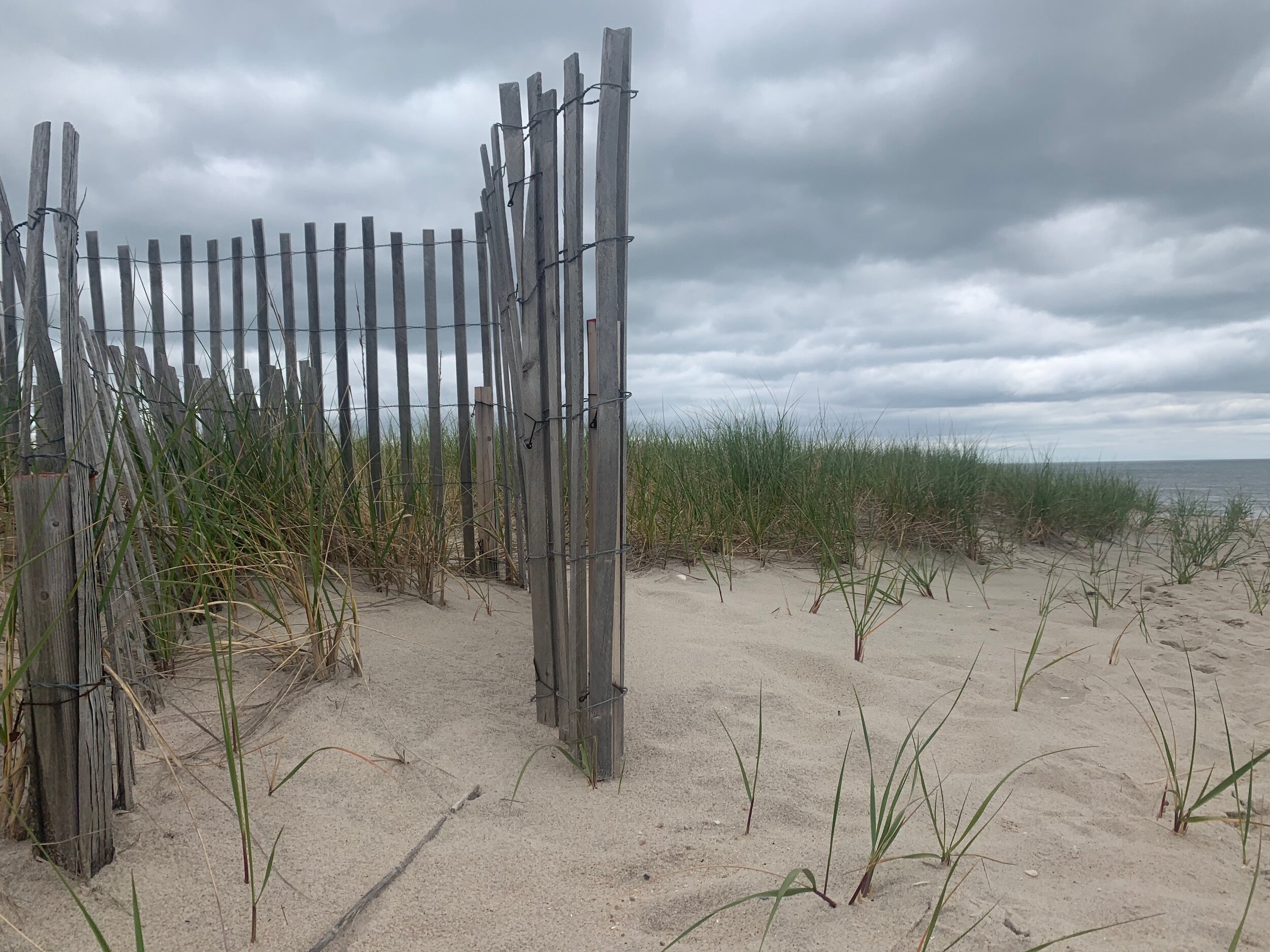 Fenced
