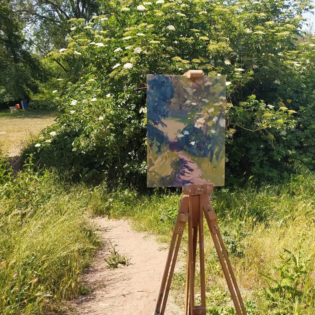 May day in #Rome s #caffarella  park pstt of the historic #appianway #parcoappiaantica #appiaantica #pleinairpainting #pleinairsketch #outdoorpainting #pleinairpainting #pitturaenpleinair  Nature is the best teacher and always immensely inspiring