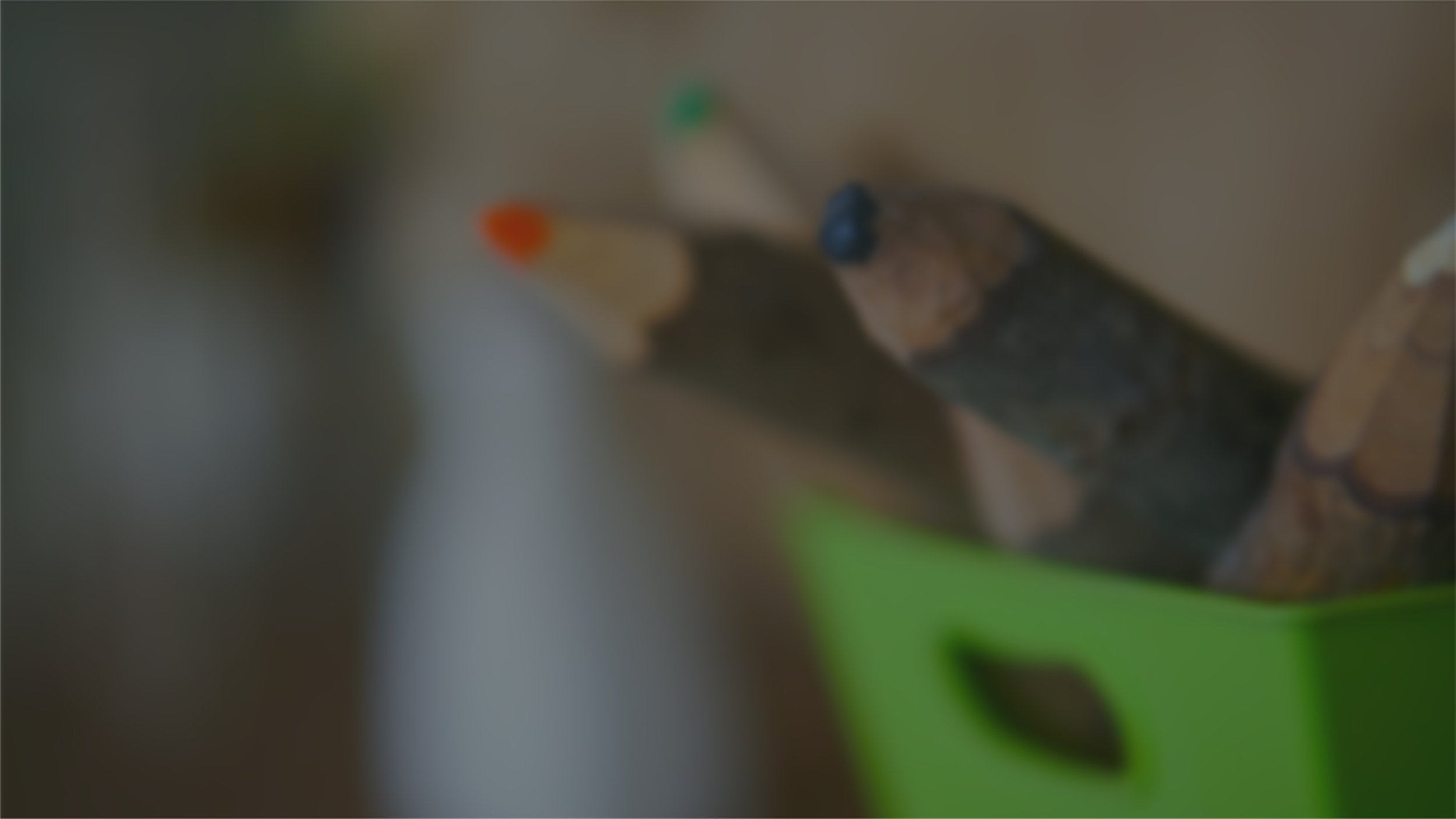 CECAF_Website_ColoredPencilsBackground-10.jpg