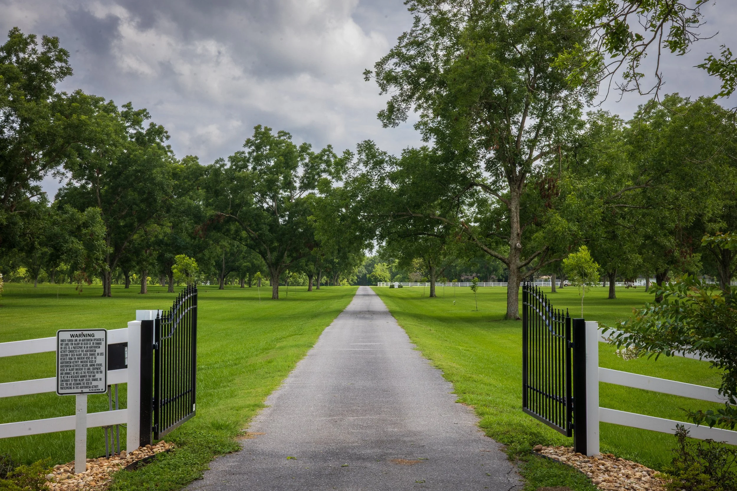 "An open black wrought-iron gate leads to a long gravel driveway lined with mature pecan trees. The expansive green lawn and white ranch-style fencing create a picturesque entrance to the wedding and event venue under a soft, overcast sky."