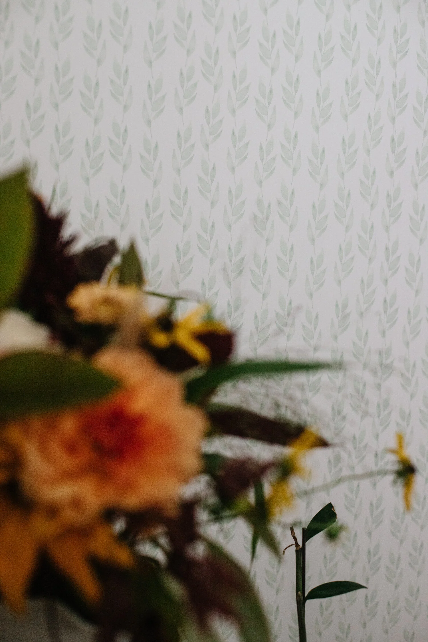 An out of focus shot of some garden flowers, showing a sage patterned wallpaper behind it.