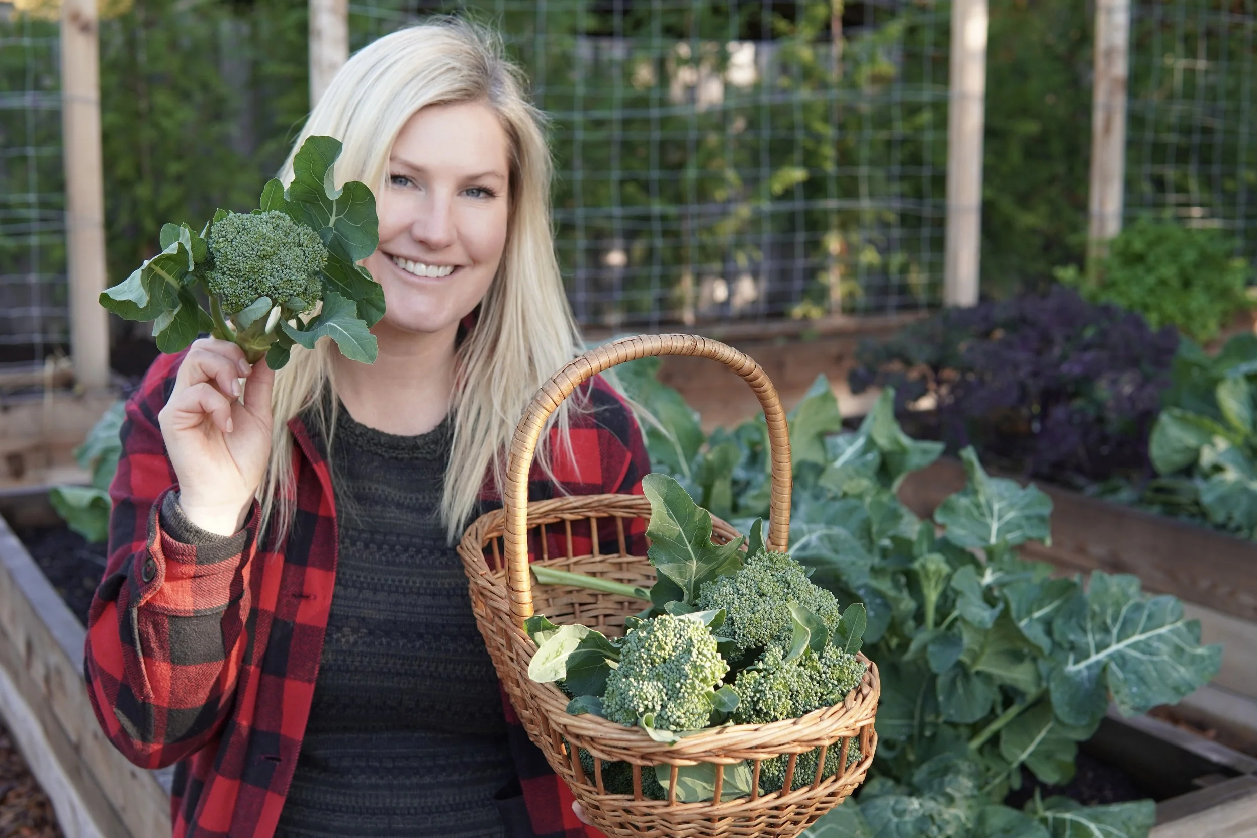 Plant These for a Fall Garden