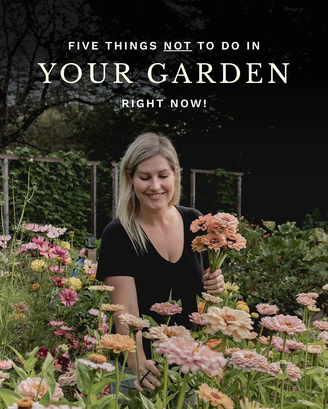 Here are five things NOT to do in your garden right now!&nbsp;🥕

1. DO NOT rip out roots of plants like tomatoes, cucumbers and beans that are spent. If there are no diseases, cut at the base and leave roots in for winter. This will improve your soi