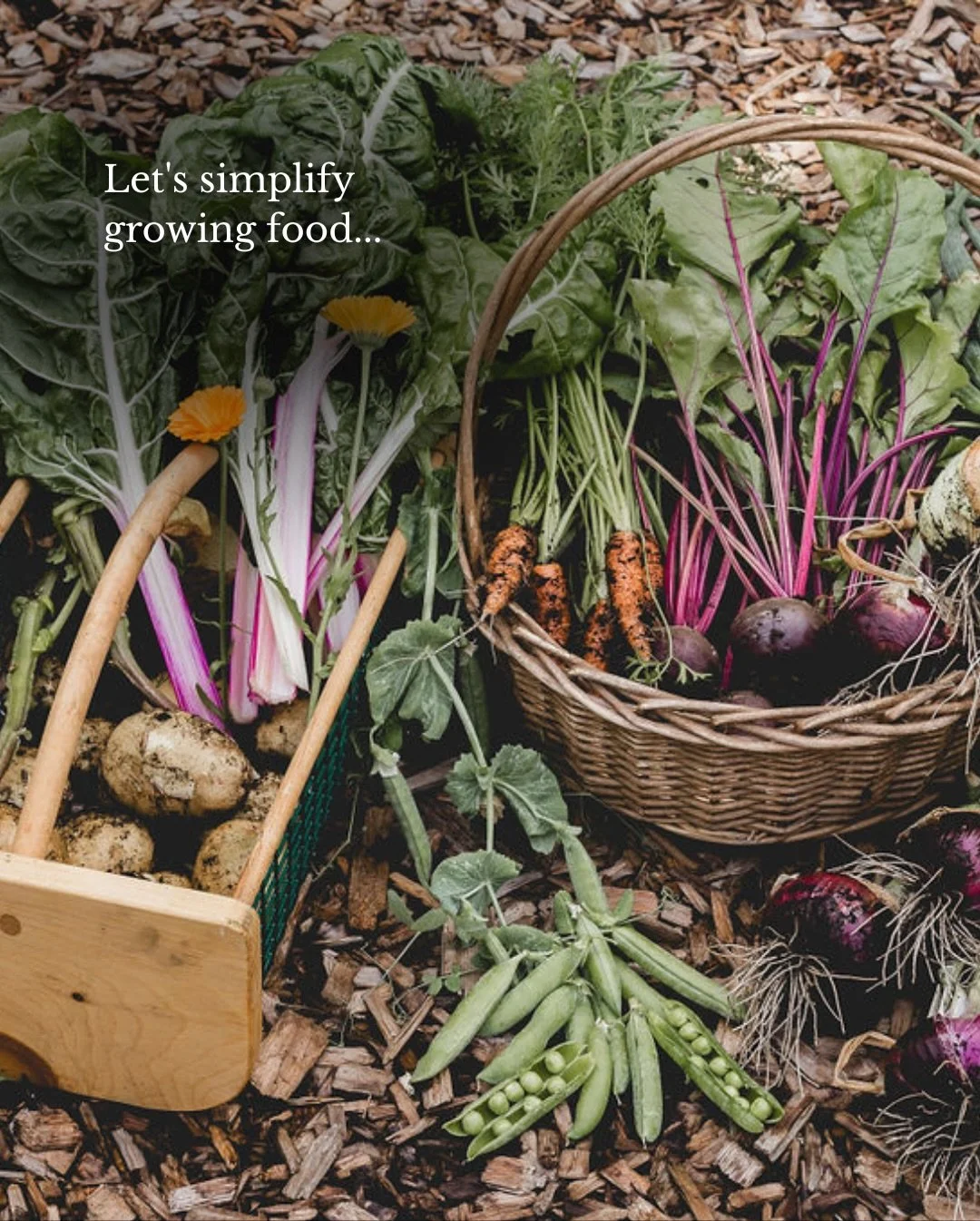 🥬 Let&rsquo;s simplify growing food 🥕

Comment &ldquo;BOOK&rdquo; and I&rsquo;ll send you the link to pre-order my book, The Purposeful Gardener!&nbsp;⬇️

From the basics, like soil health &amp; light&hellip;

Companion planting&hellip;

Vertical g