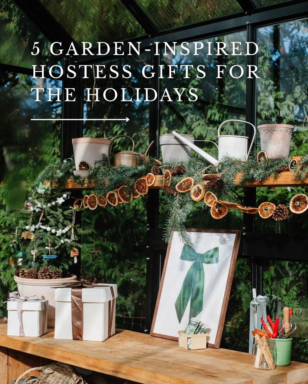 🌿 Looking for the perfect hostess gift this holiday season? Why not look right in your garden!? 🎁

I love putting together a garden-sourced and inspired hostess gift, not even just during the holidays, but year round! Here are some of my favs:

1. 
