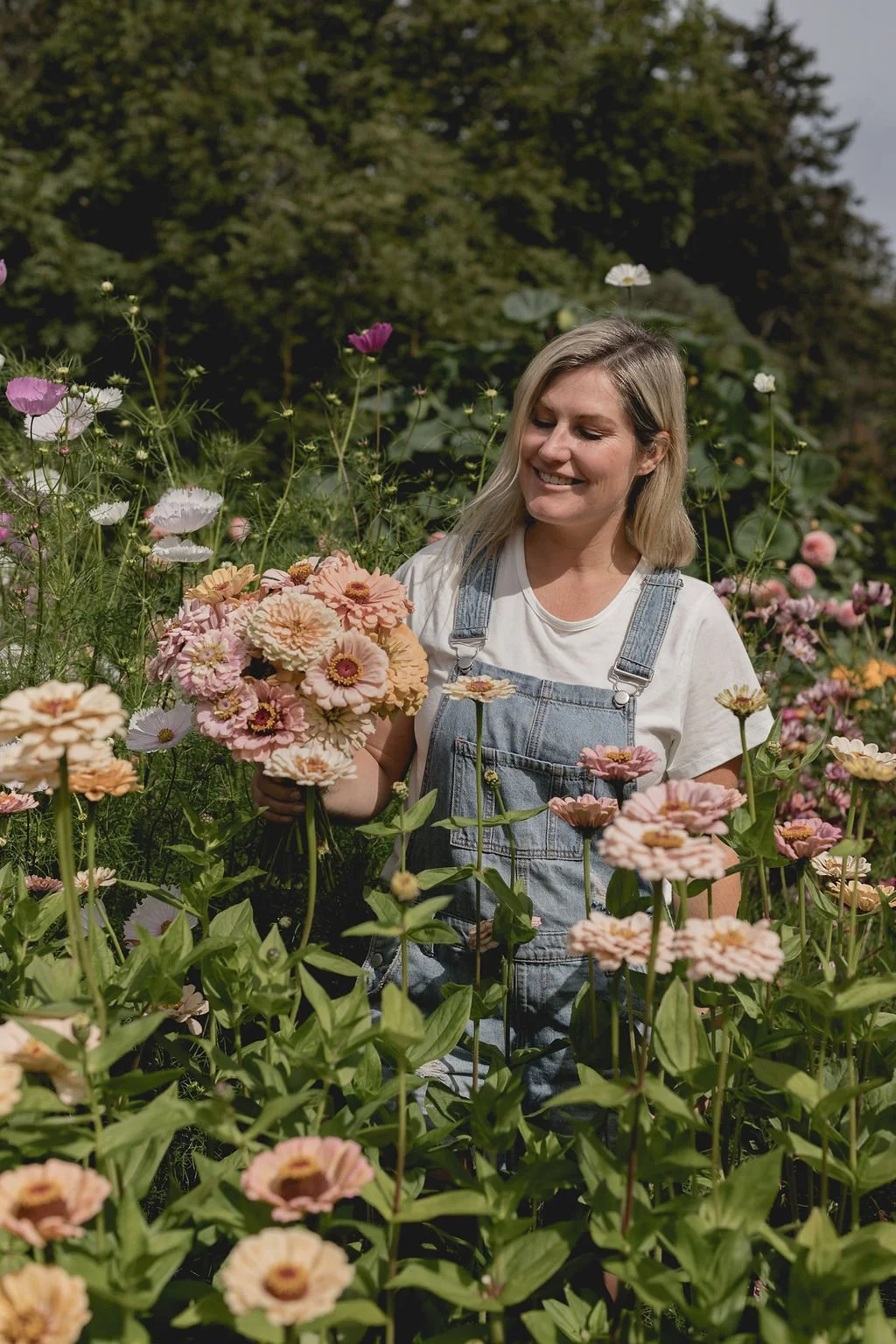 8 Beginner Cut Flowers to Grow in Your Garden