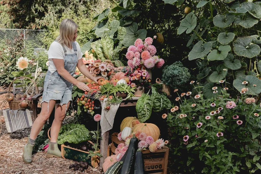 5 Mistakes to Avoid for Beginner Gardeners