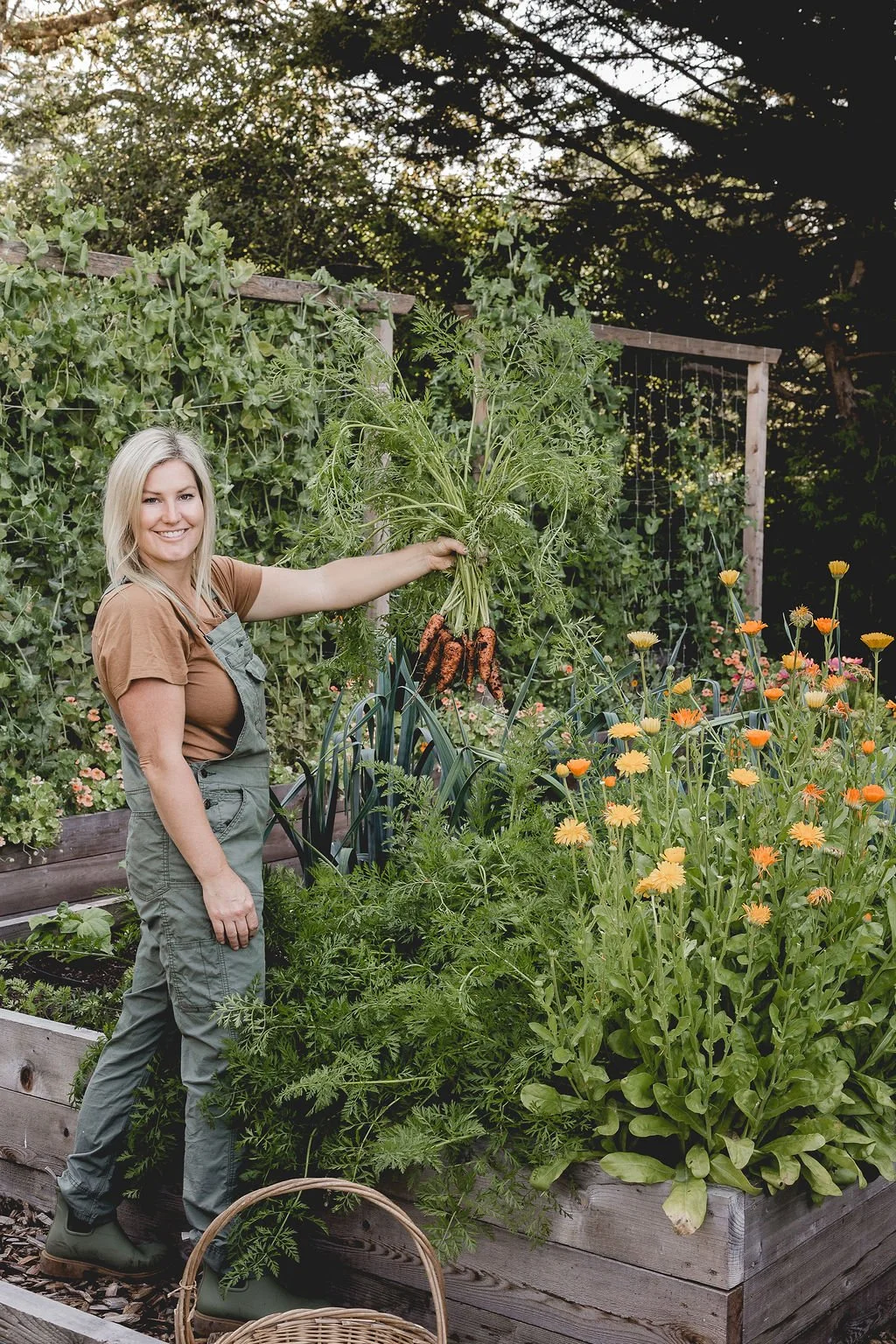 How to Grow Carrots: A Beginner’s Guide