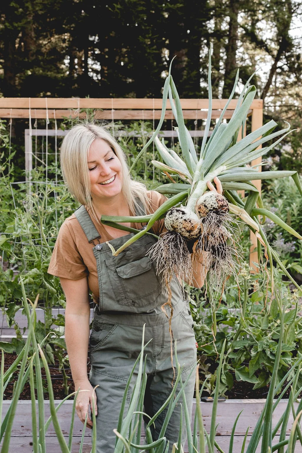 How to Grow Onions from Planting to Harvesting