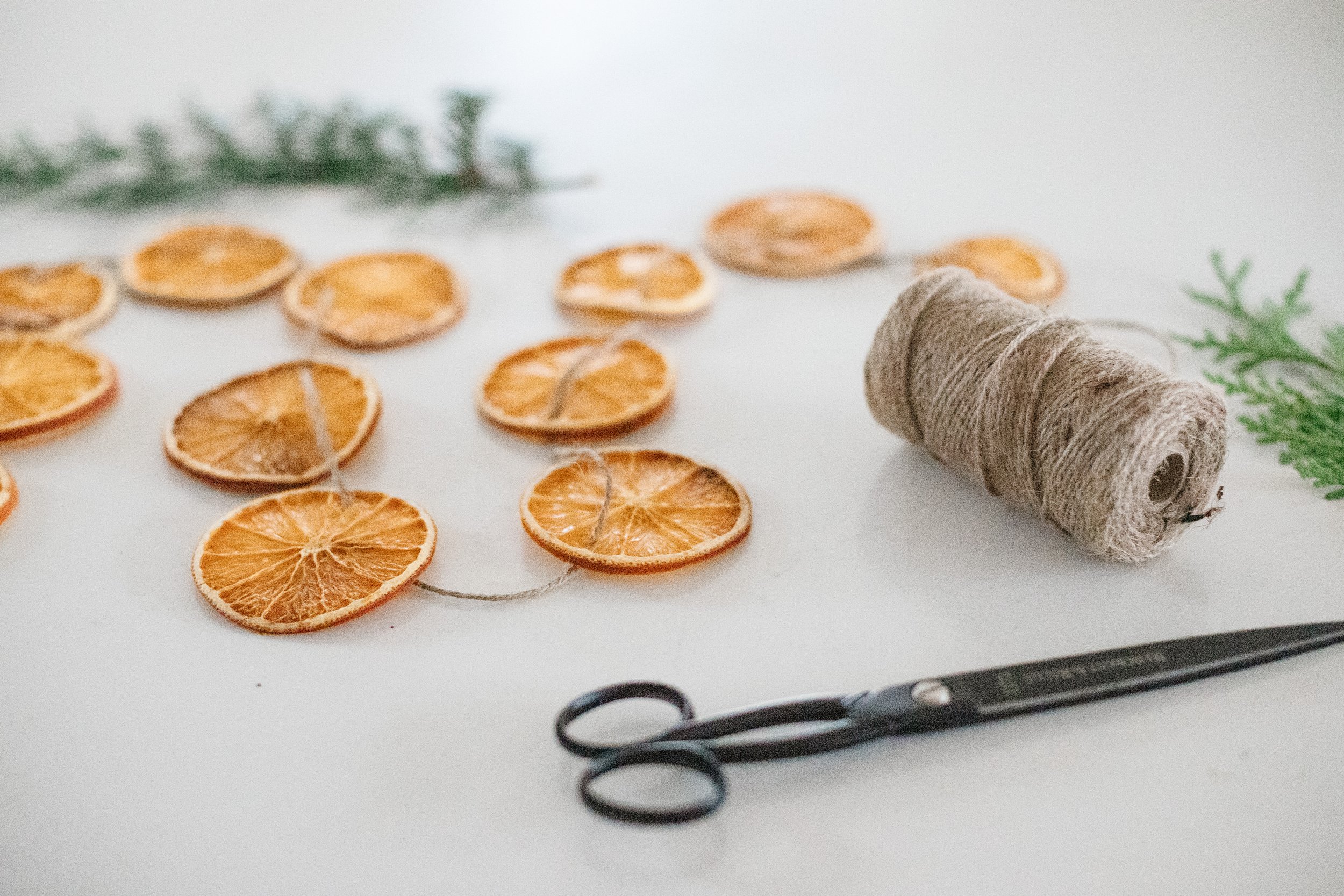 How to Make Dried Orange Slices: 4 Methods - Attainable Sustainable®