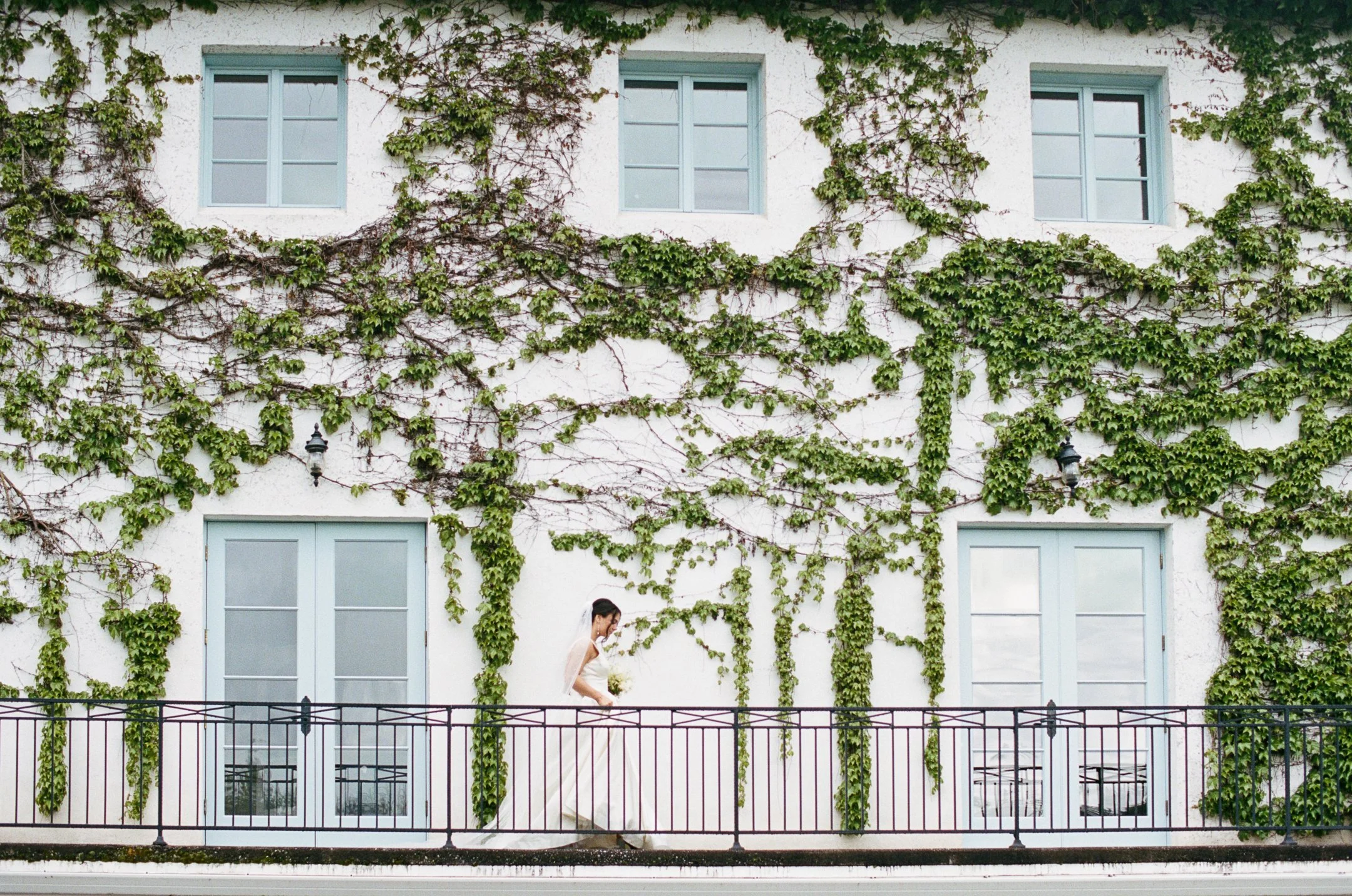 Monet-Vineyards-Bridal-Film-2.jpg