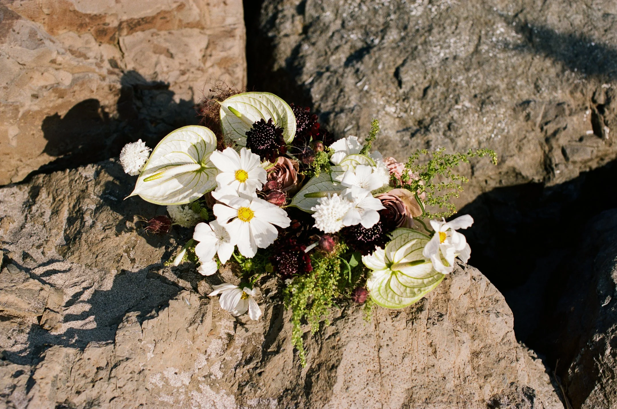 Cannon-Beach-Elopement-Film-17.jpg