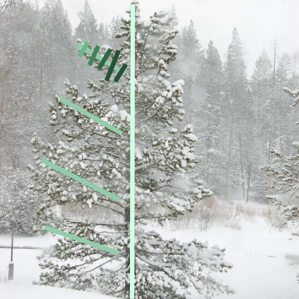 Handcrafted embroidery of redwood trees made with a blend of paint and thread. This mixed-media textile artwork highlights the organic textures and rich tones of redwood forests, merging fine art painting with detailed hand stitching.