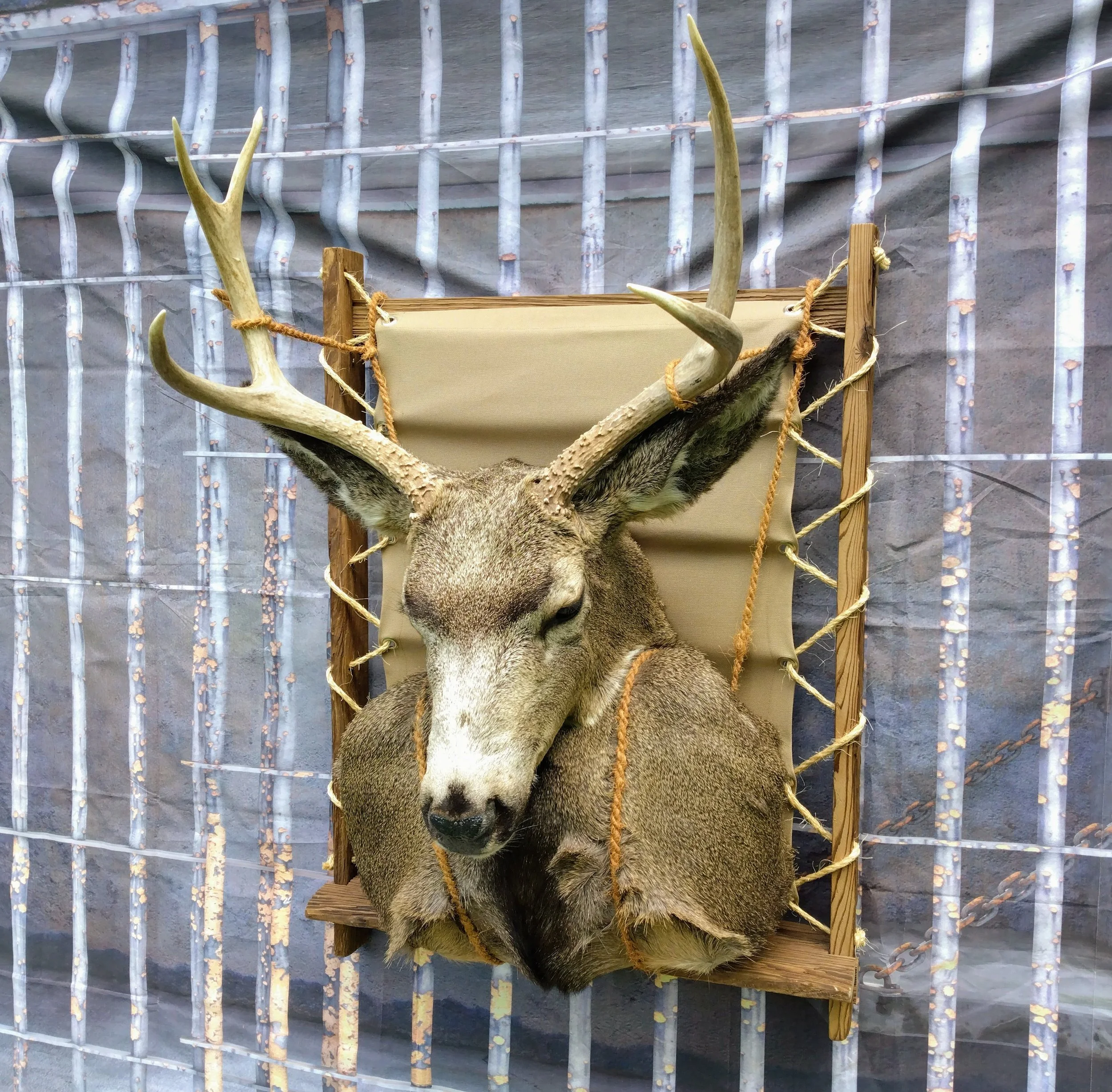 Jailbreak Taxidermy