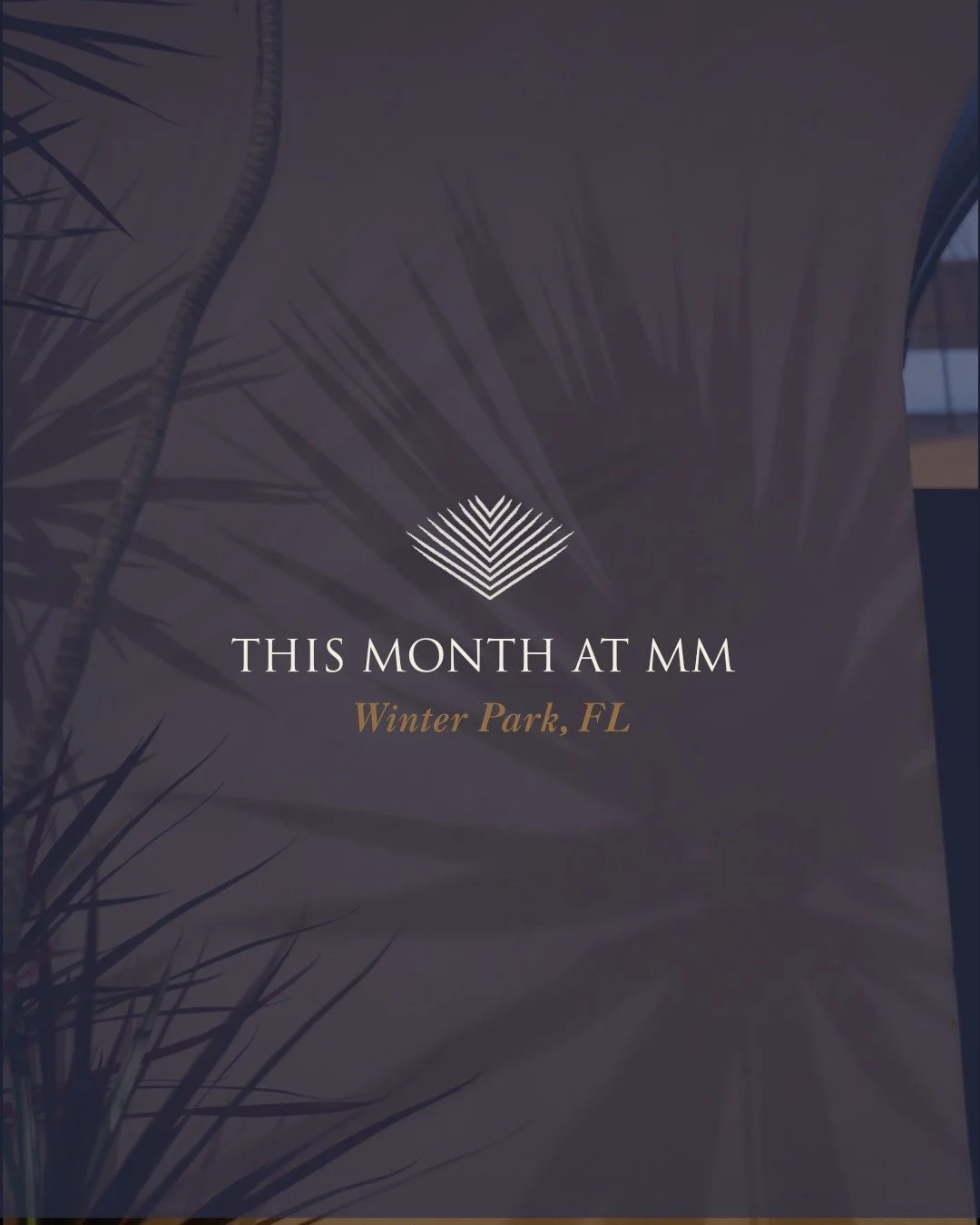 This Month AVA MM Winter Park continues to shape moments that matter through signature music programming and curated experiences. After 10PM, AVA MM transitions seamlessly into AVA Lounge, where the rhythm of the evening carries on. Explore the full 