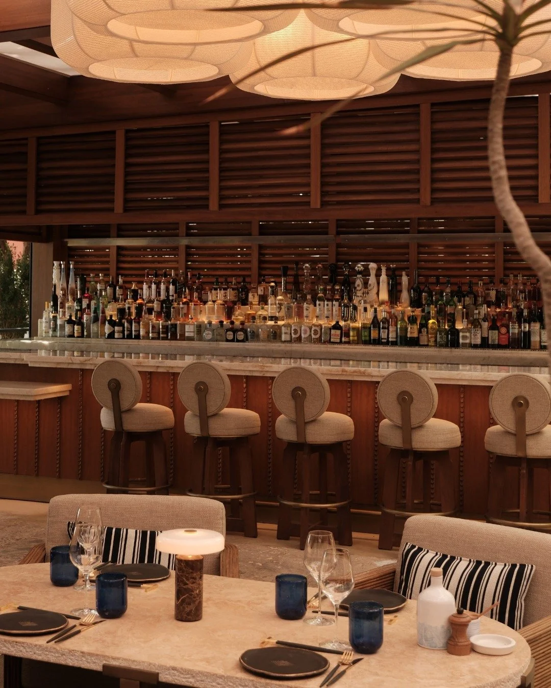 Priority reservations, signature AVA dishes, and a refined space reserved exclusively for Members. Experience dining at AVA MM Coconut Grove and reserve through the Members Portal.