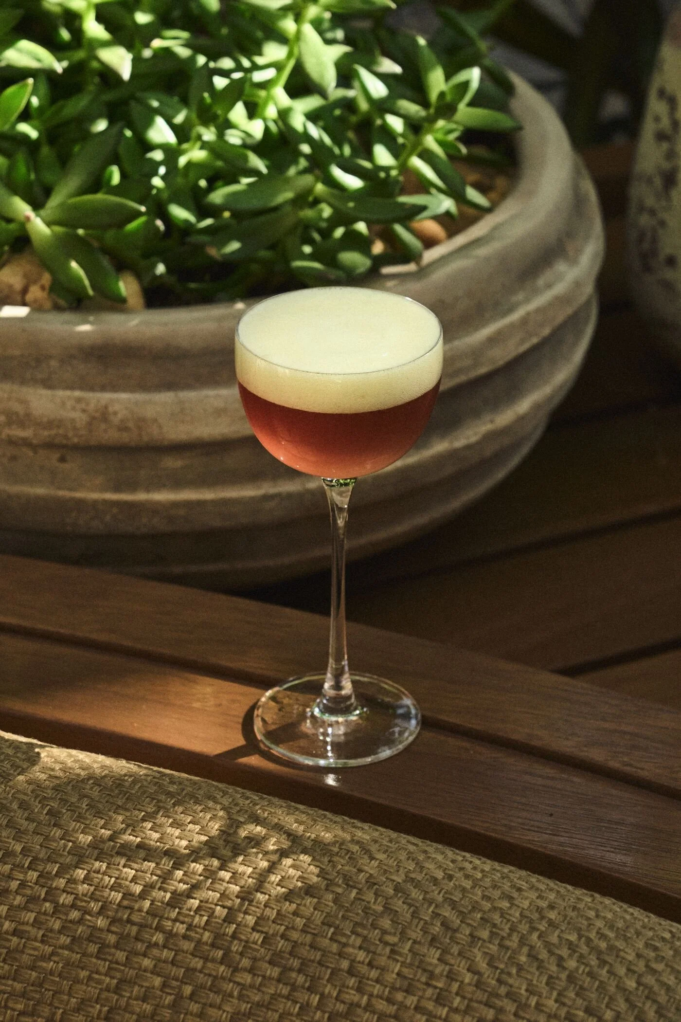 A glass of rosé wine with a foamy head on top, set on a wooden table in front of a large potted succulent plant.