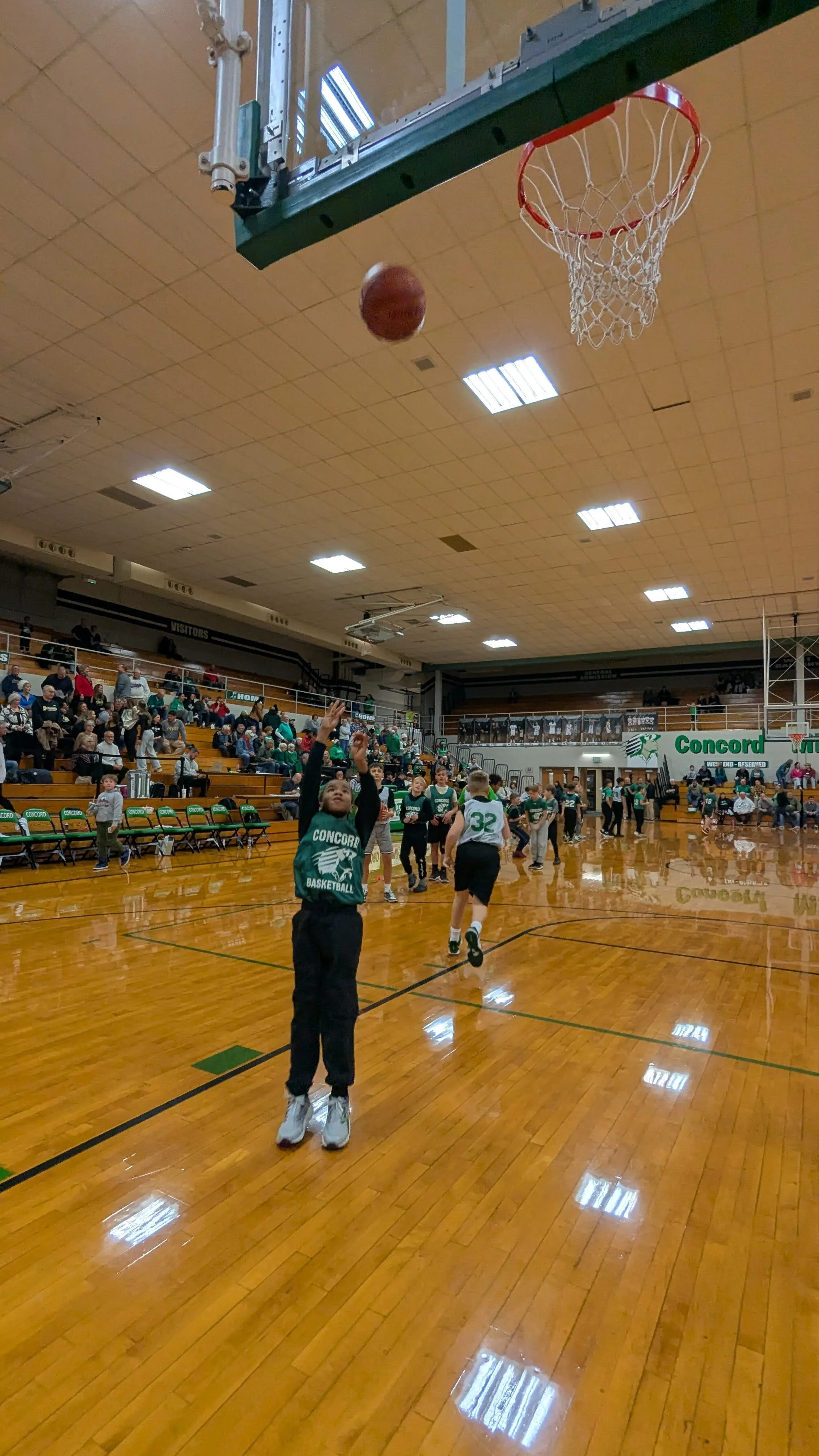 PXL_20241214_012504215.jpg