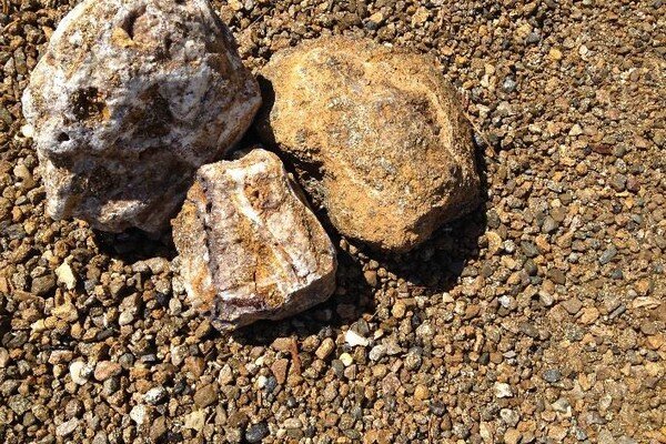 Desert Gold