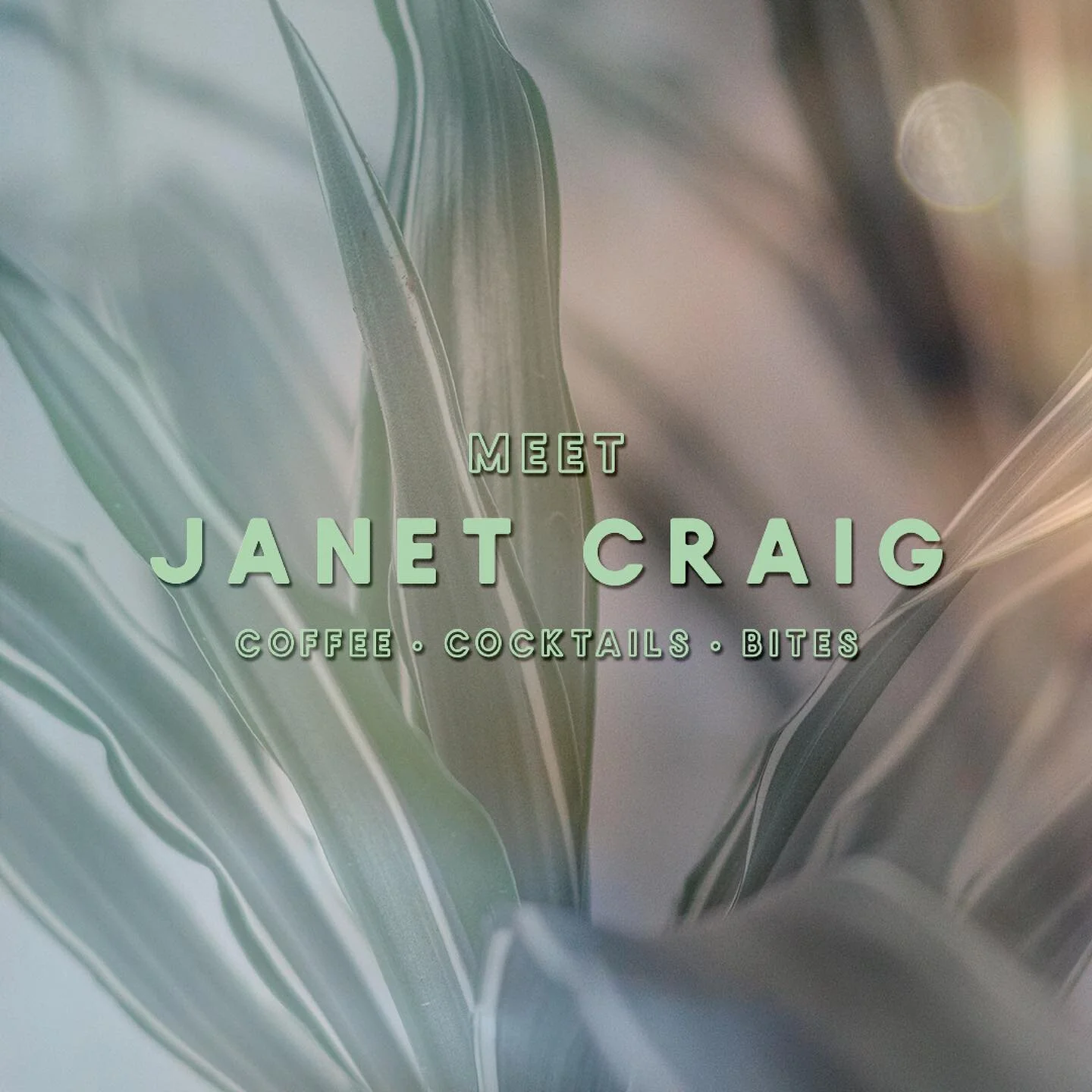Meet Janet Craig! I am finally getting around to showcase the brand identity I&rsquo;ve been working on for @janet_craig_athens, 
[Coffee &bull; Cocktails &bull; Bites].

Hand-drawn logo inspired by &ldquo;Janet Craig&rdquo; Dracaena- a superb indoor