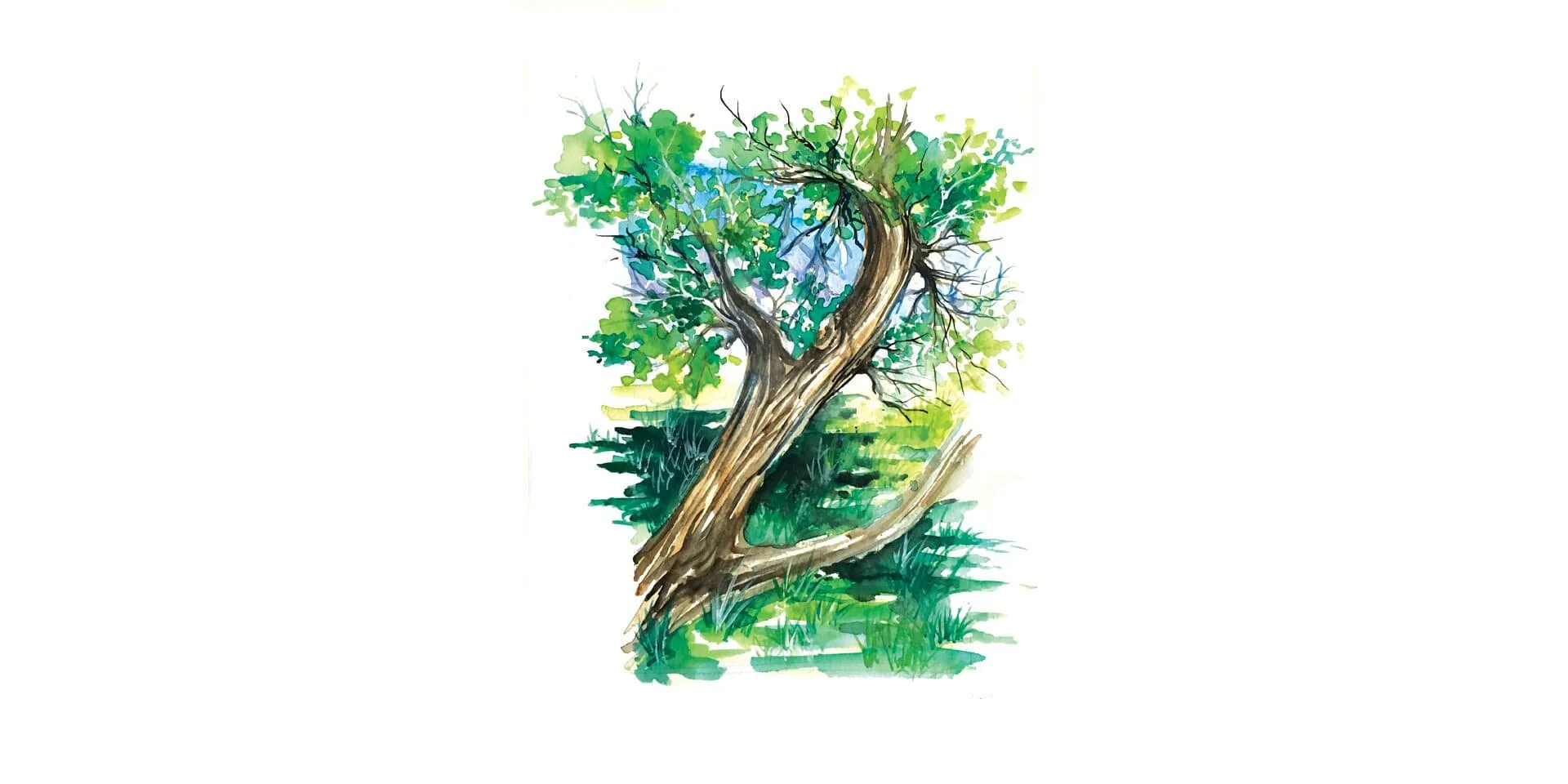 tree-illustration.jpeg