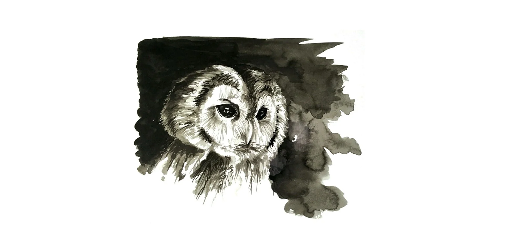 owl-illustration.jpeg