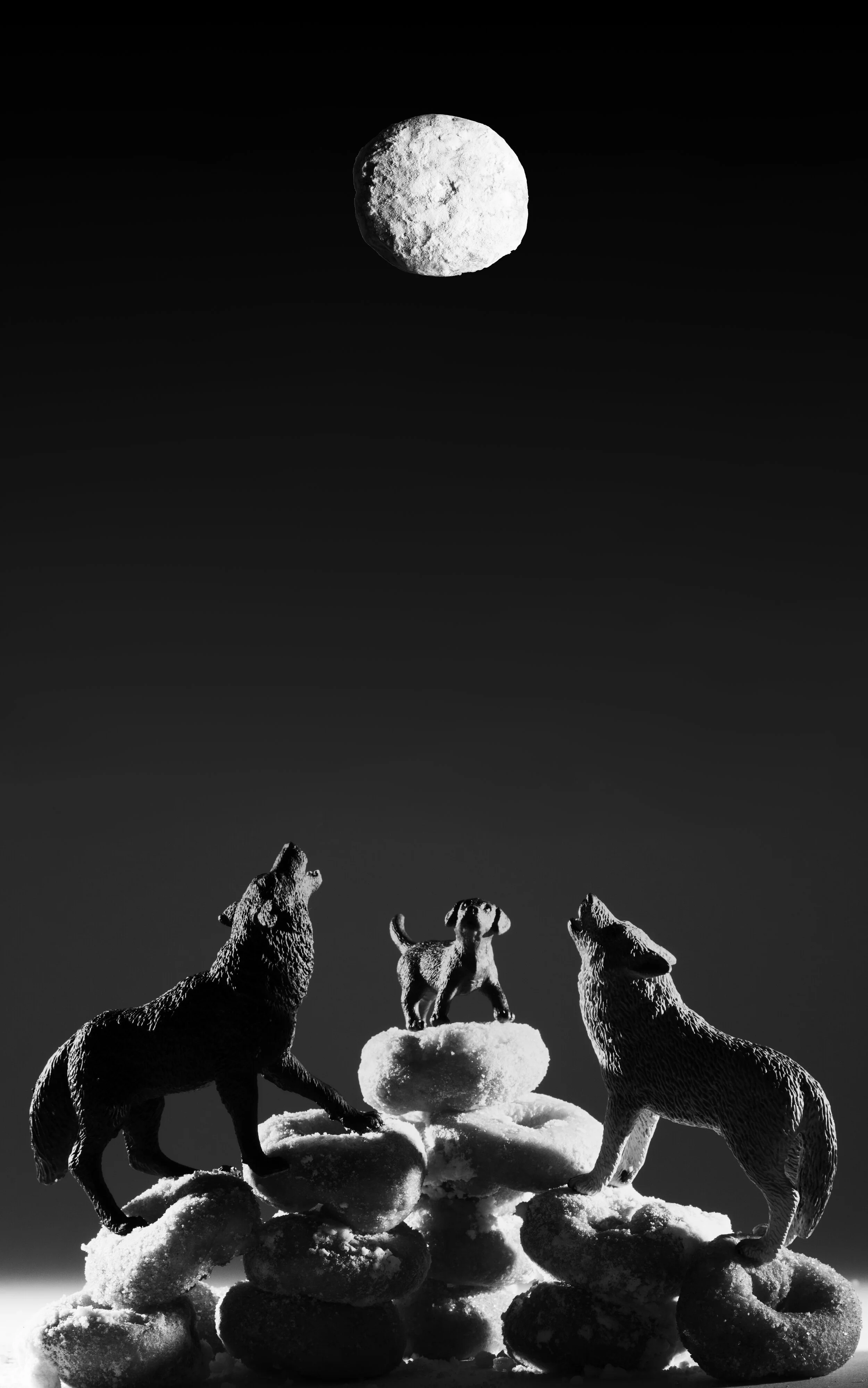 wolves_puppy_moon.jpg
