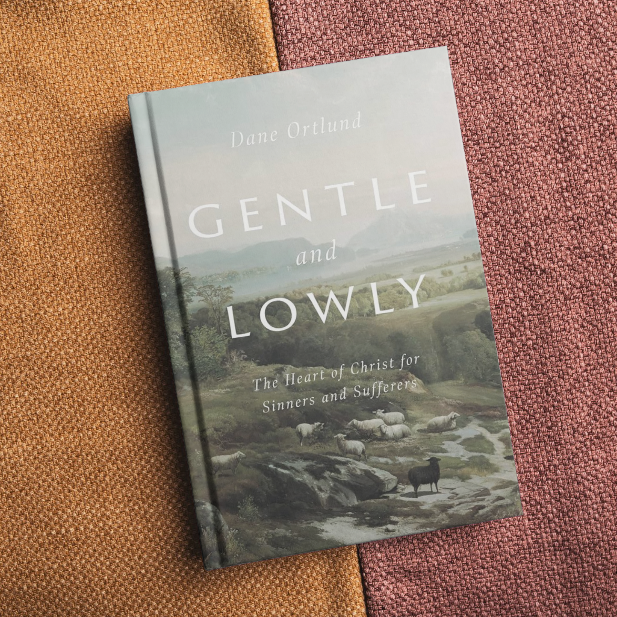 Book titled 'Gentle and Lowly' by Dane Ortlund with a pastoral landscape cover and sheep in a stream on a textured orange and pink background.