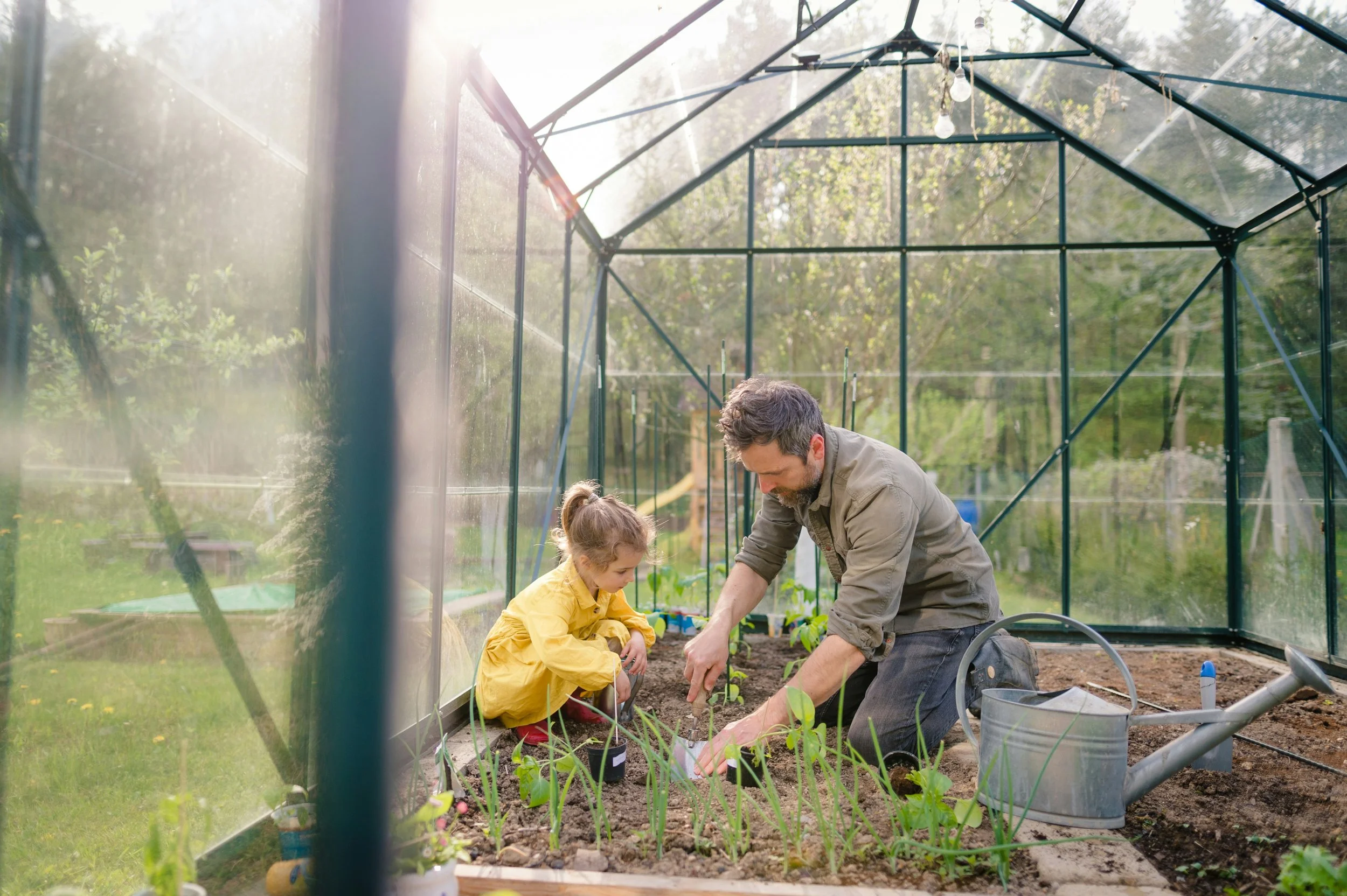 A man and a young girl planting seedlings inside a greenhouse on a sunny day.