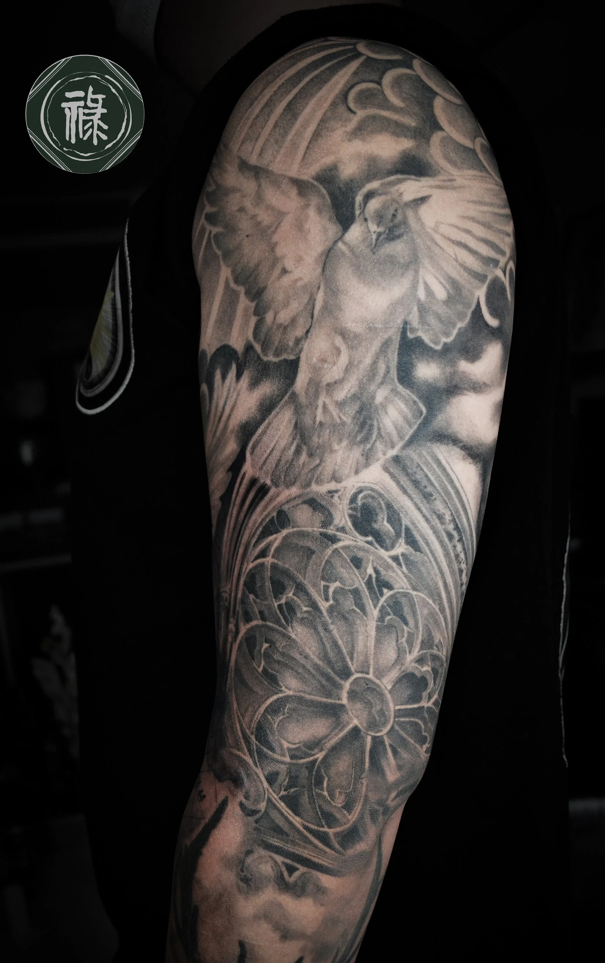 20201003_pigeon_01 copy.jpg