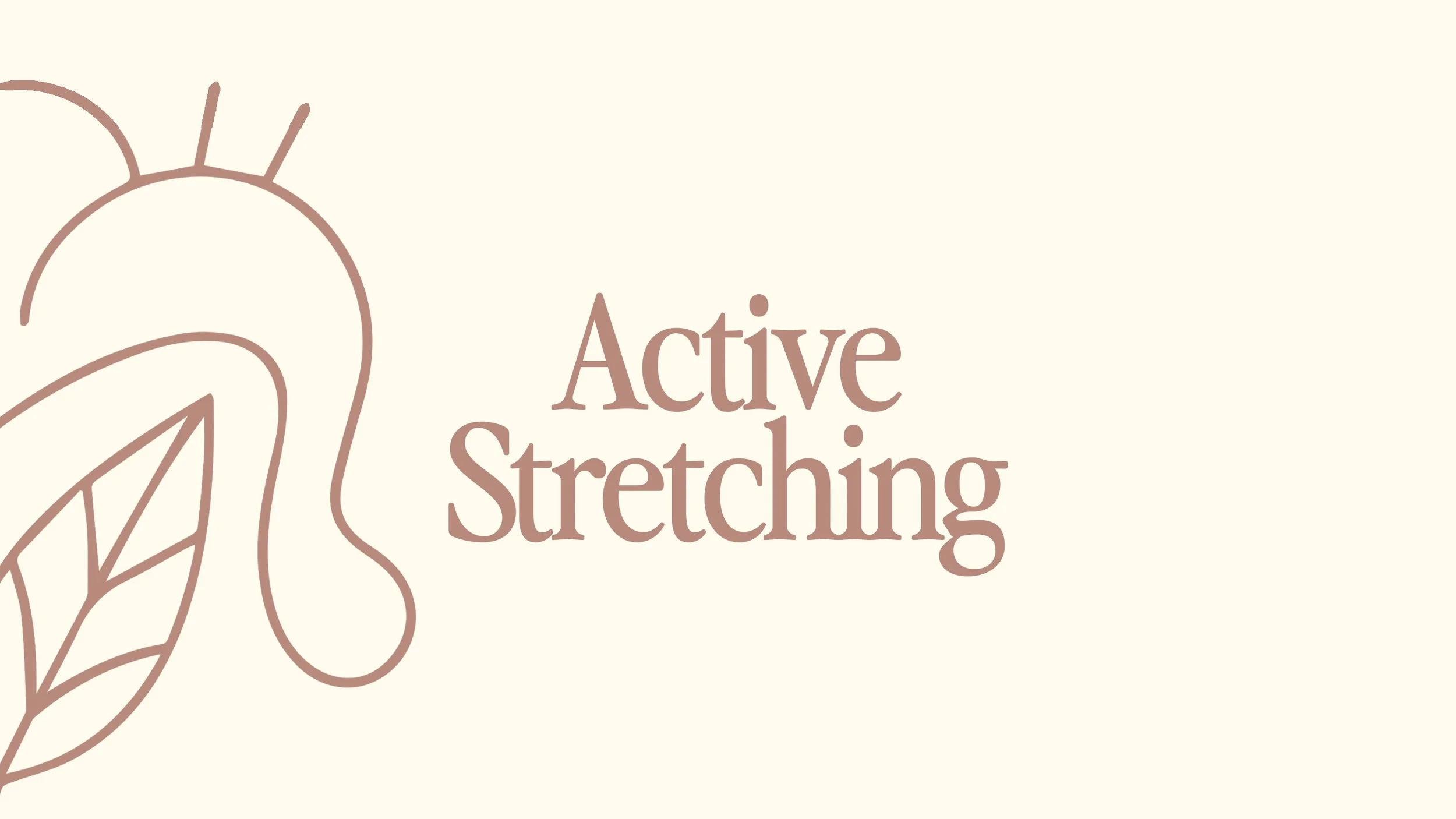 Women’s Active Stretching