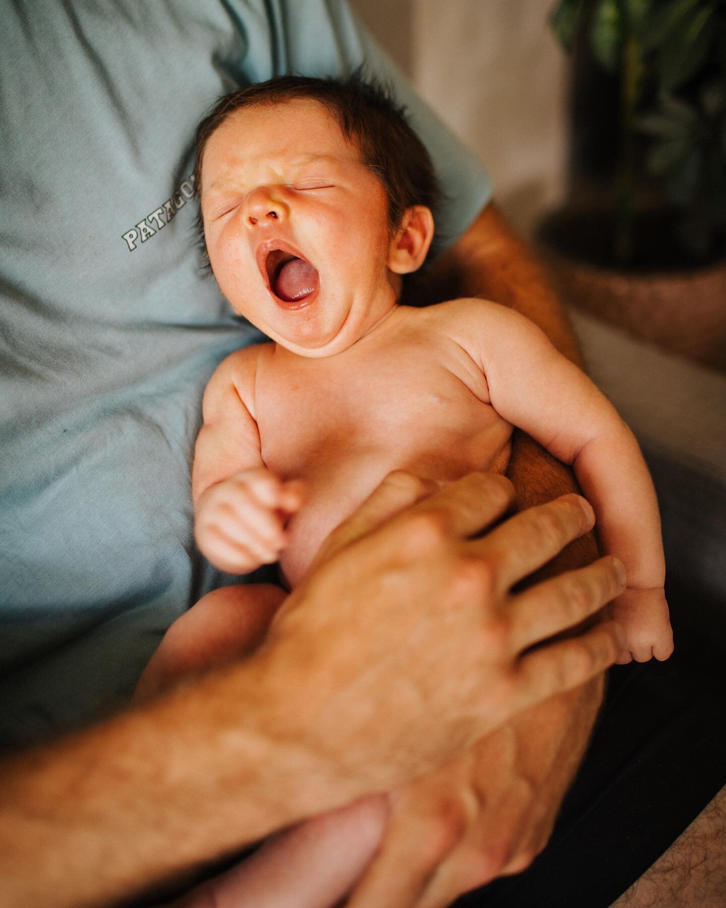A new little one arrived into our family last month and he&rsquo;s simply perfection. 

He also sums up a Monday morning perfectly. 

Welcome to the party Leo, you&rsquo;re gonna have a lot of fun here. 

#binkynixonphotography 
#buckinghamshirefamil