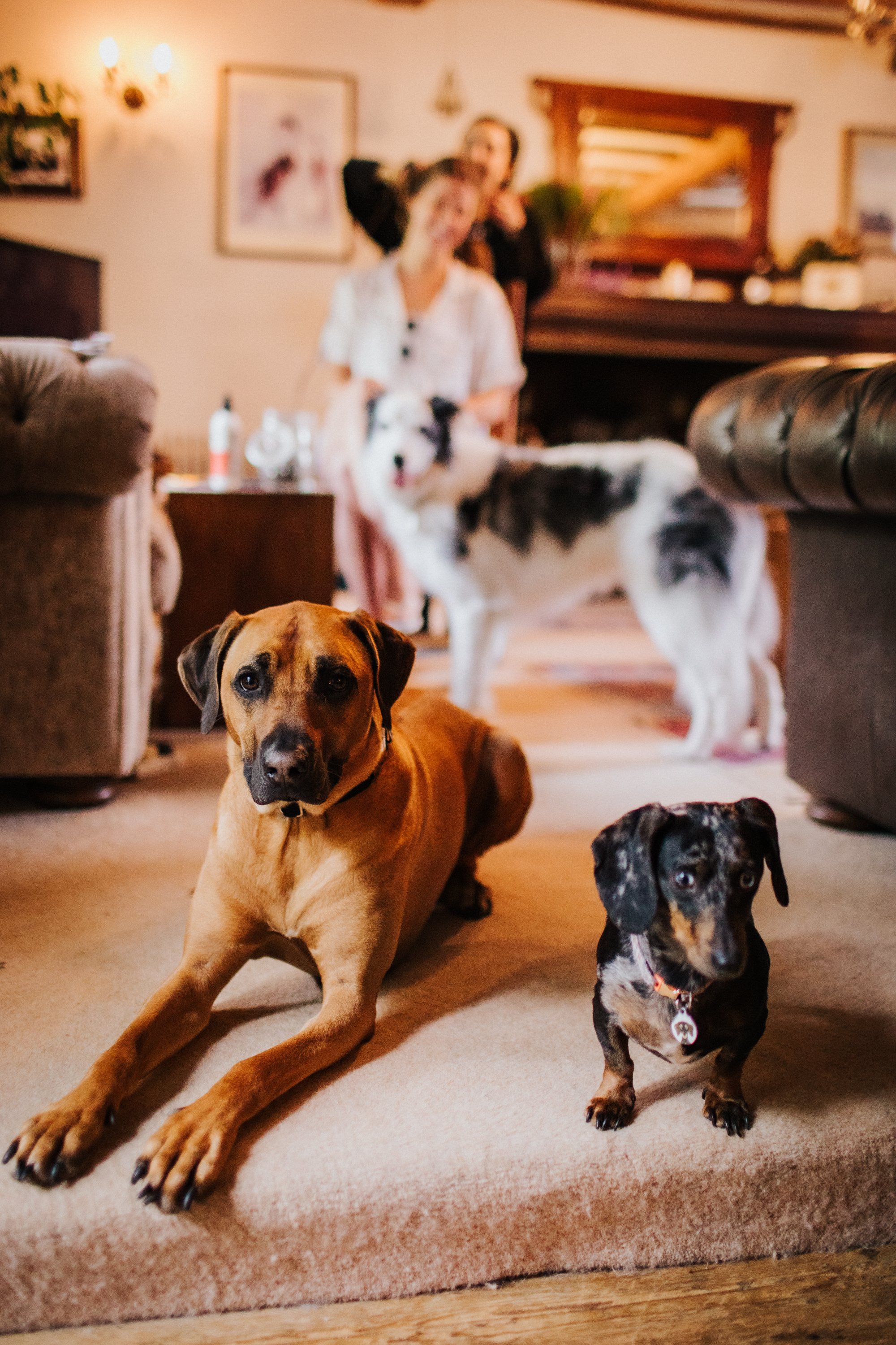 BinkyNixonPhotography_CCWED036.jpg