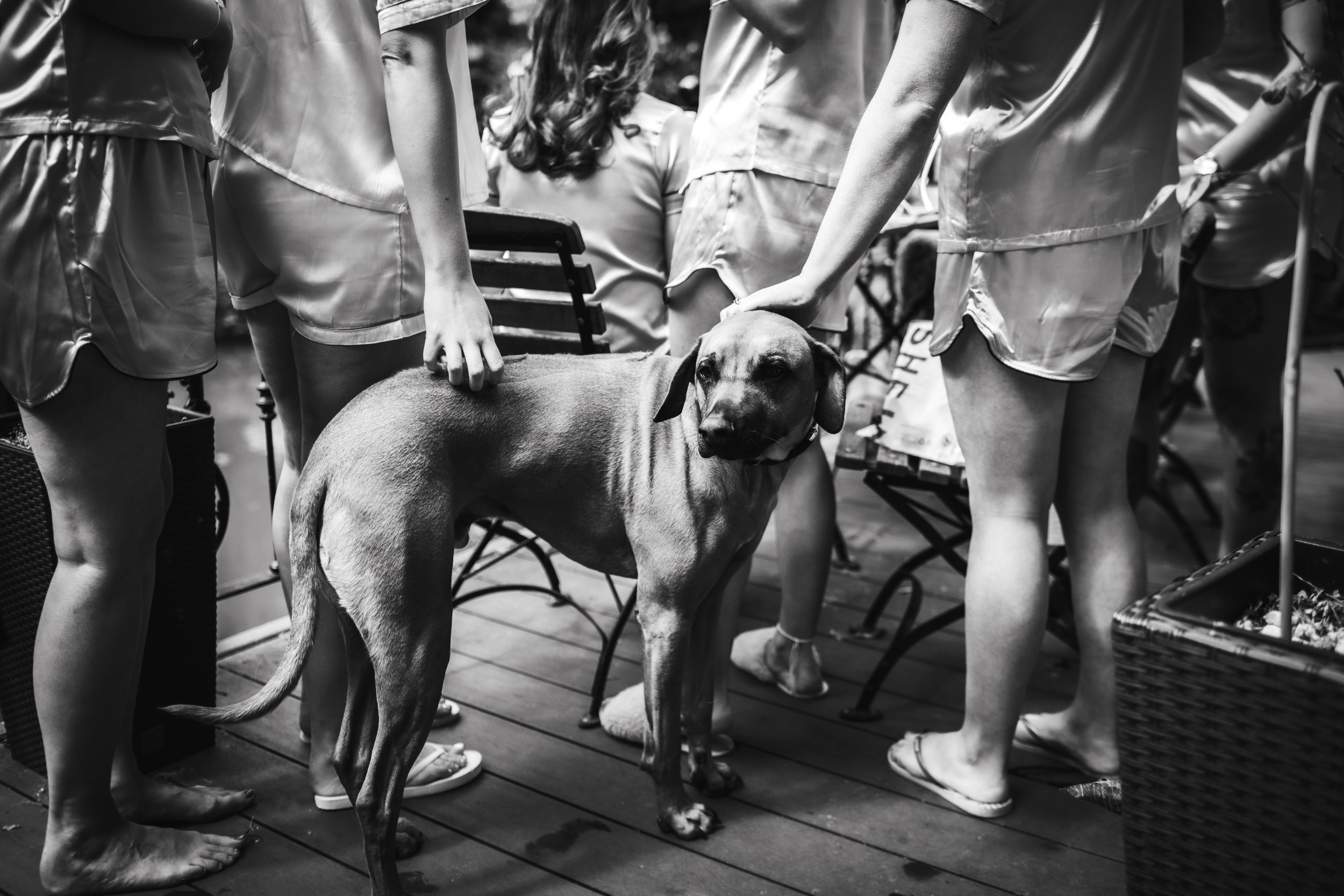 BinkyNixonPhotography_CCWED049.jpg