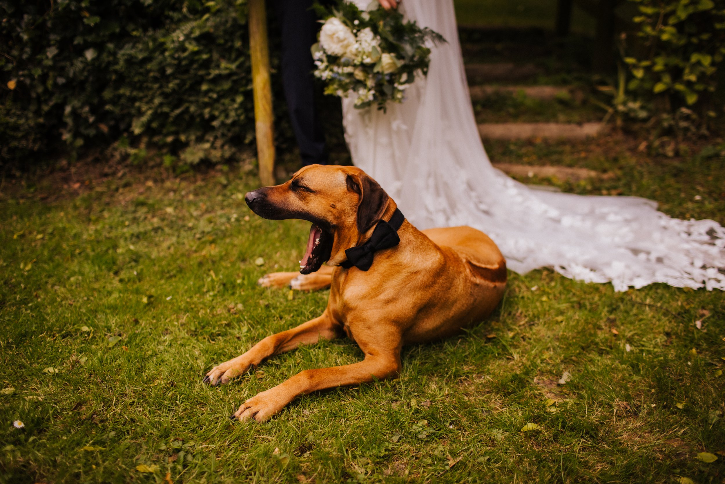 BinkyNixonPhotography_CCWED526.jpg