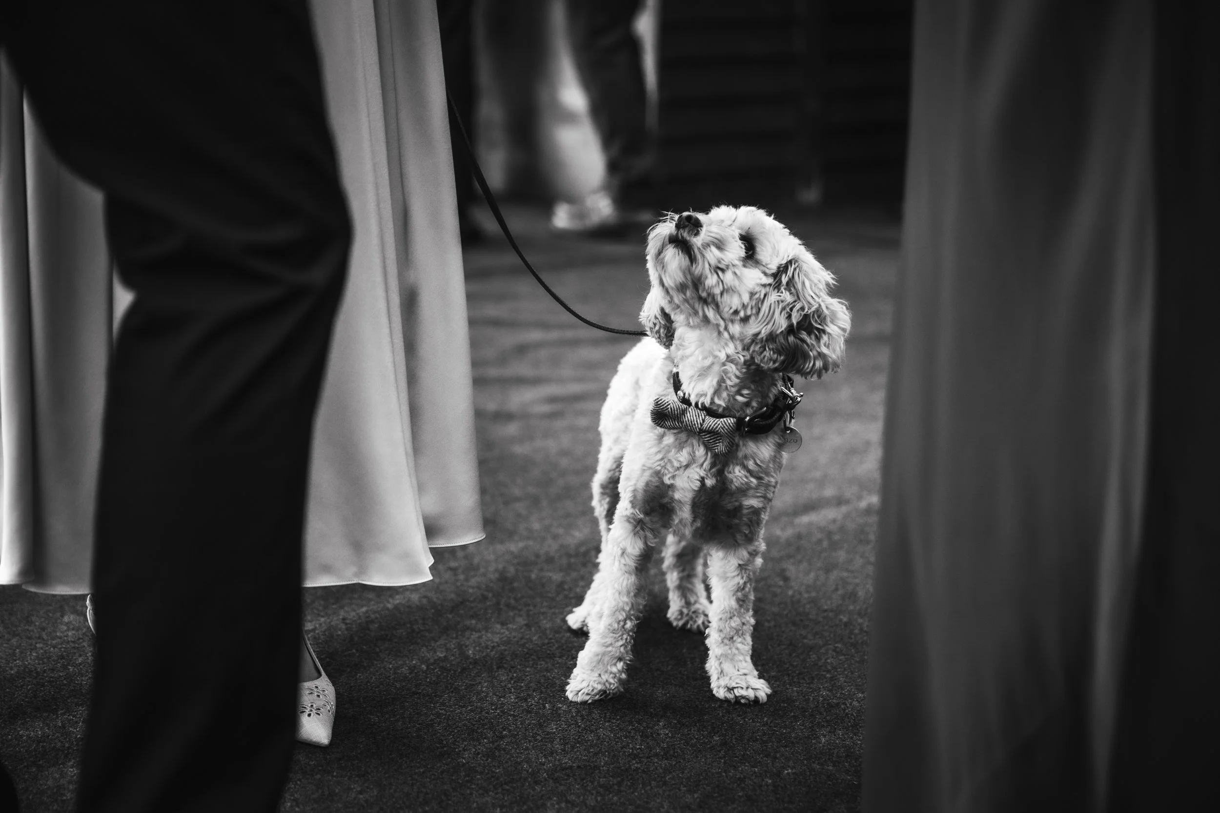 binkynixonphotography_LF_W512.jpg
