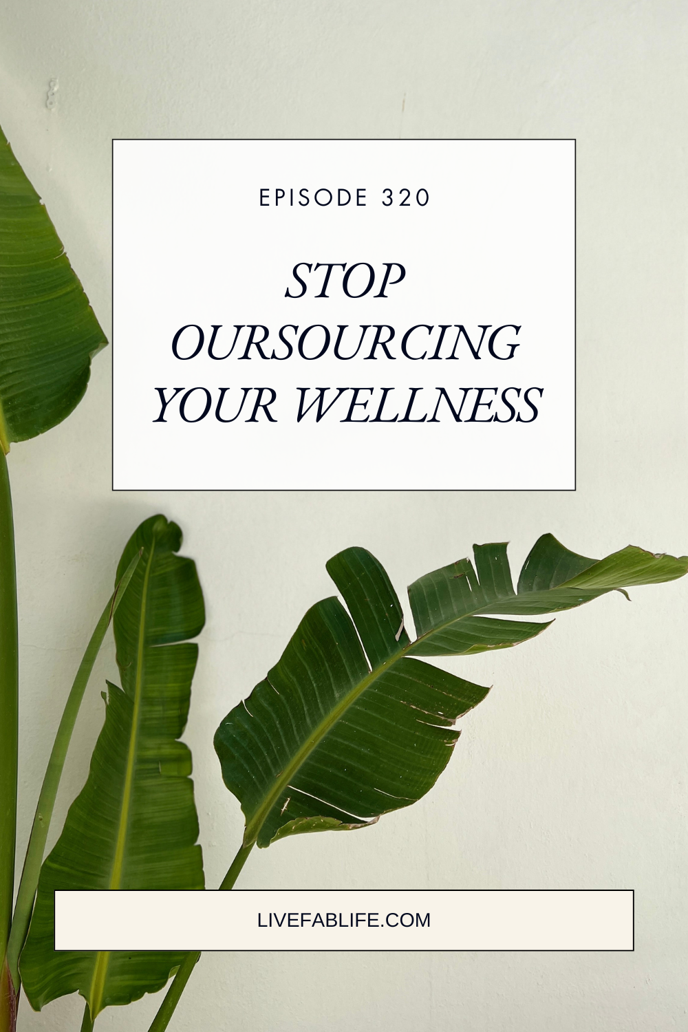 Episode 320: Stop Outsourcing Your Wellness