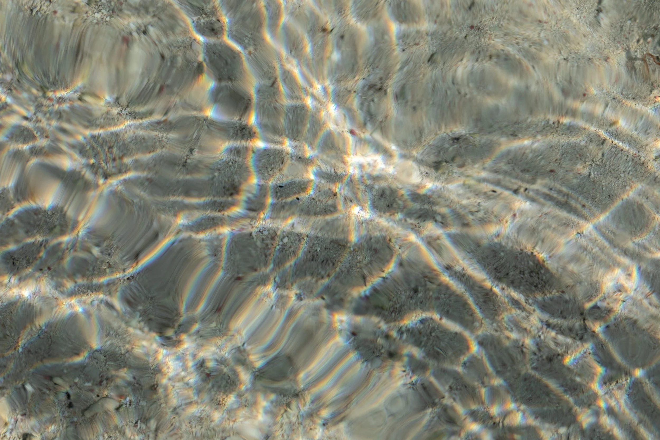 fernanda-dorado gómez-dupe.jpeg