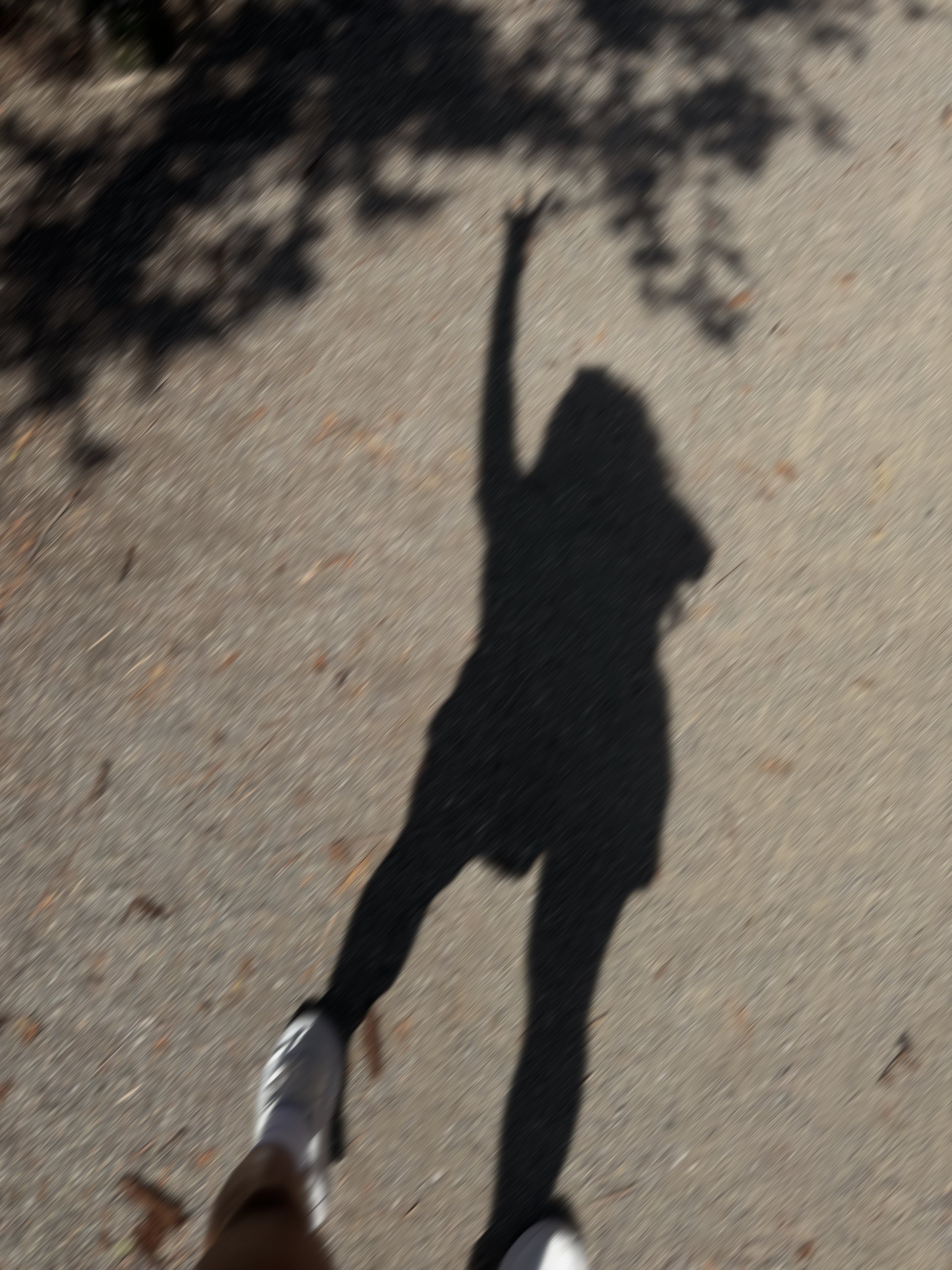 xenia-herrera -dupe.jpeg