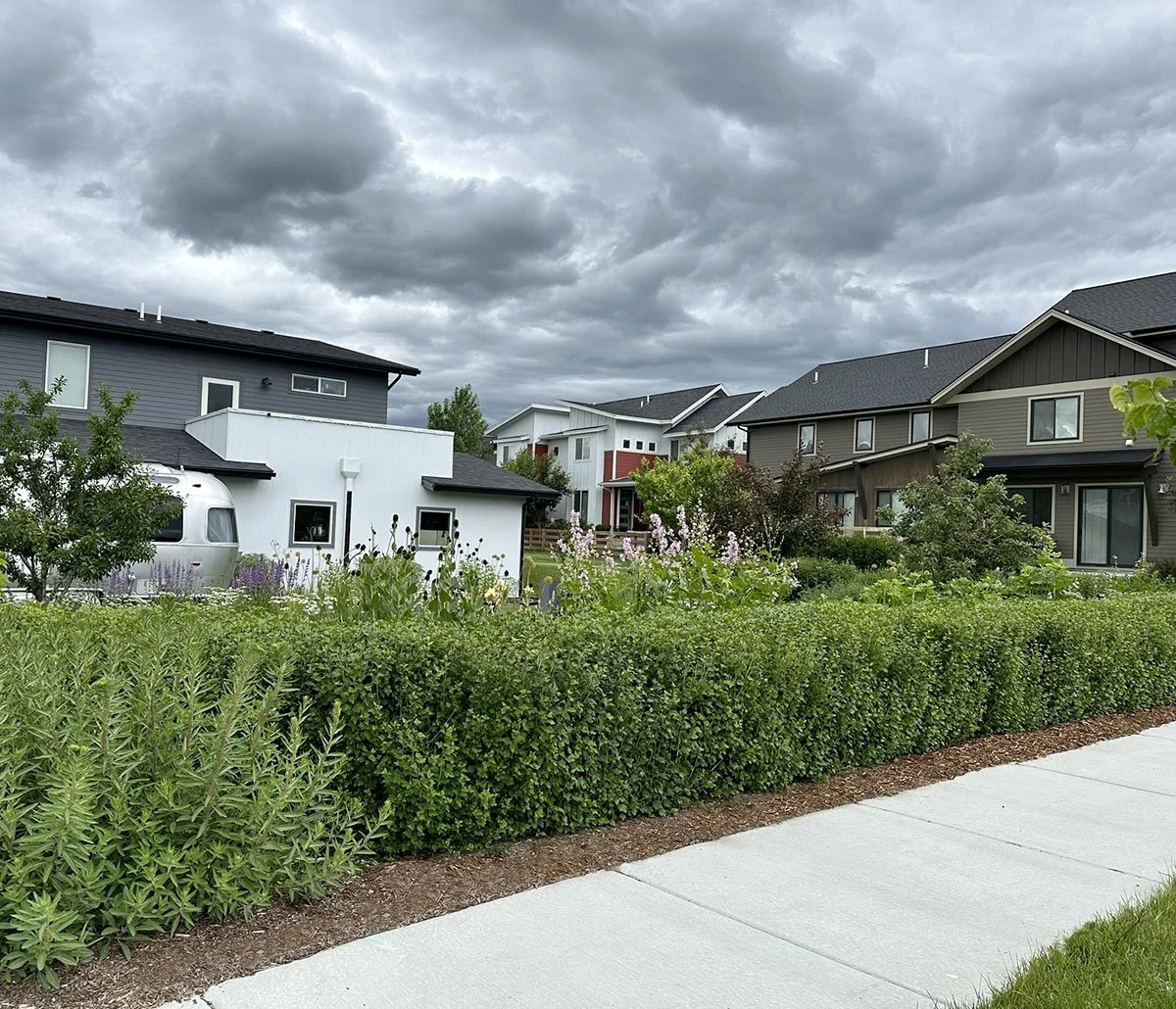 Neatly clipped hedge creates a defined edge with taller naturalistic planting rising behind it.