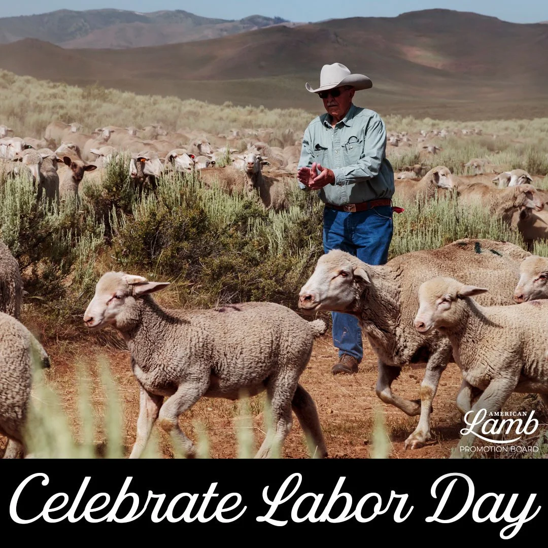 ALB Celebrate Labor Day  8 11 21 DRAFT2.jpg