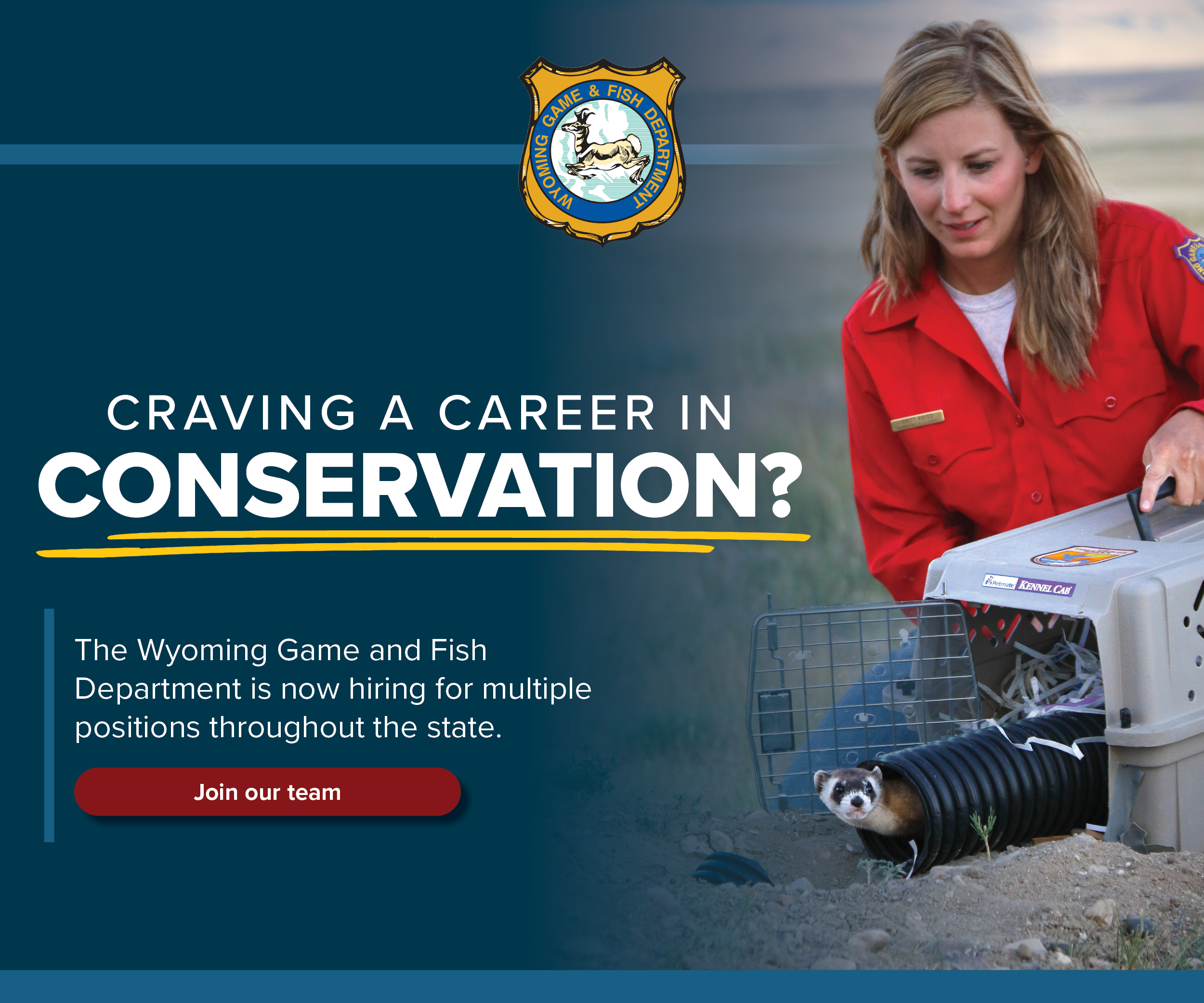 2024_NowHiring_DisplayAds_CSD_5 2 24.png