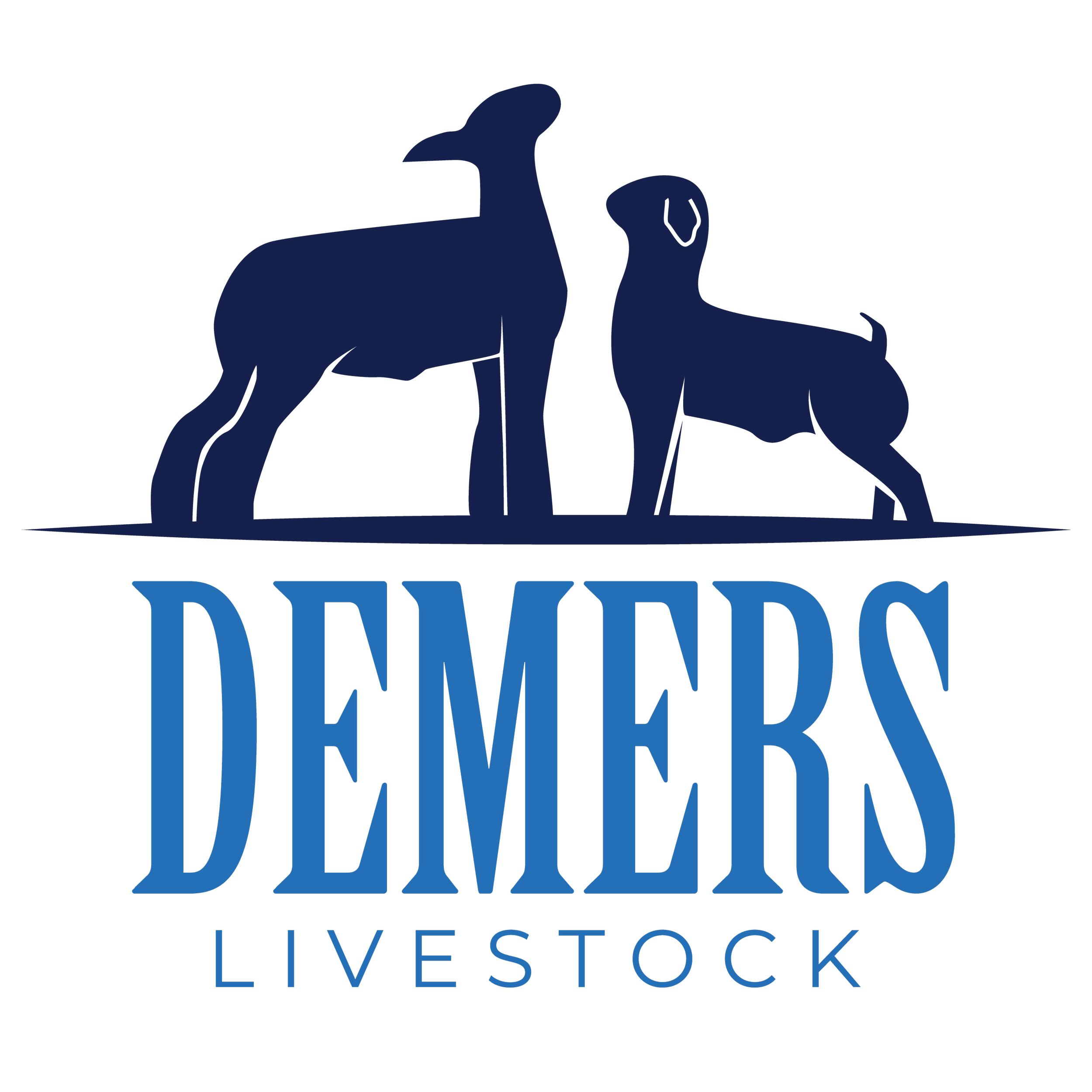 Logo_Demers Livestock.png