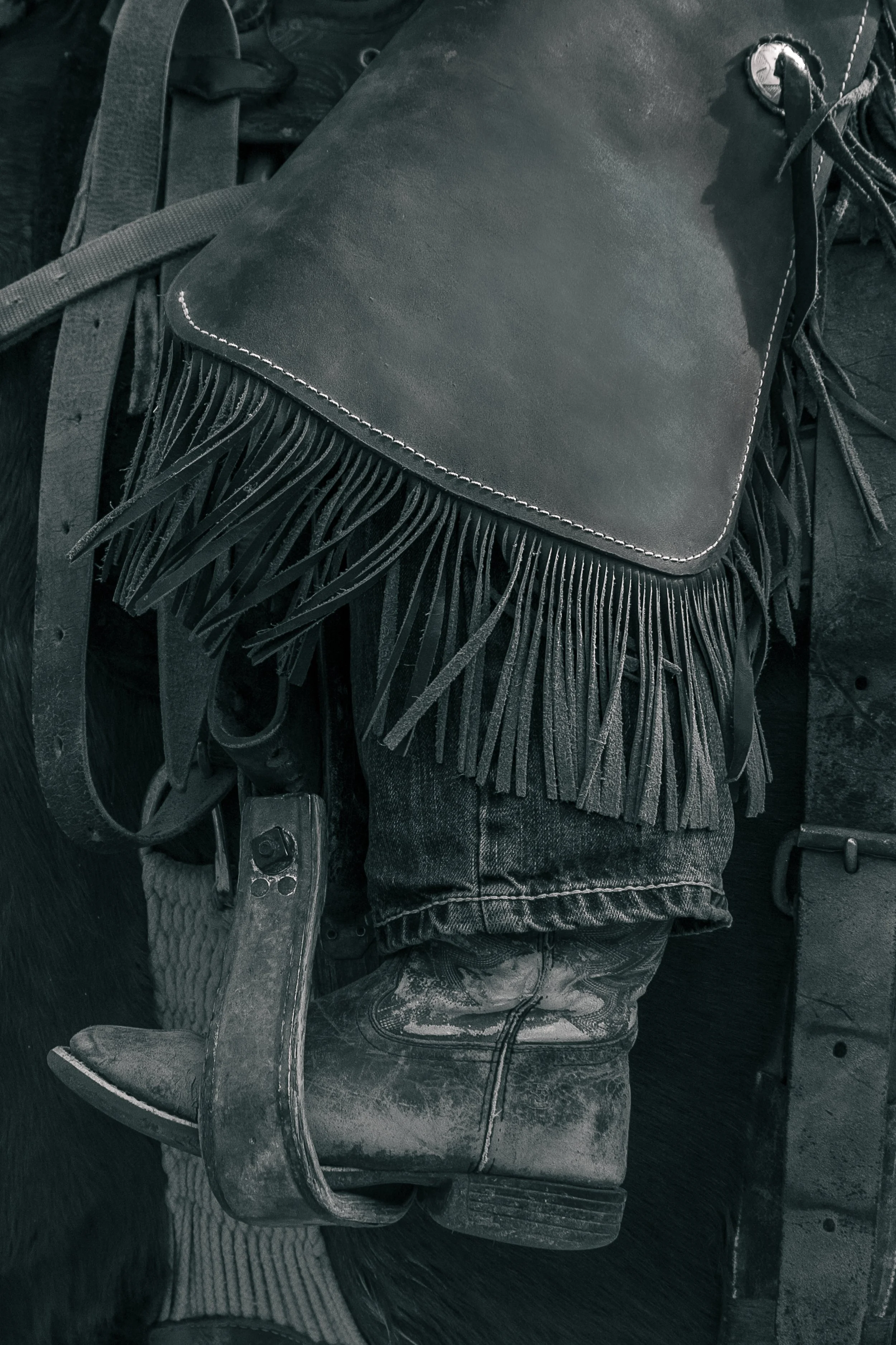 Portfolio-3.jpg