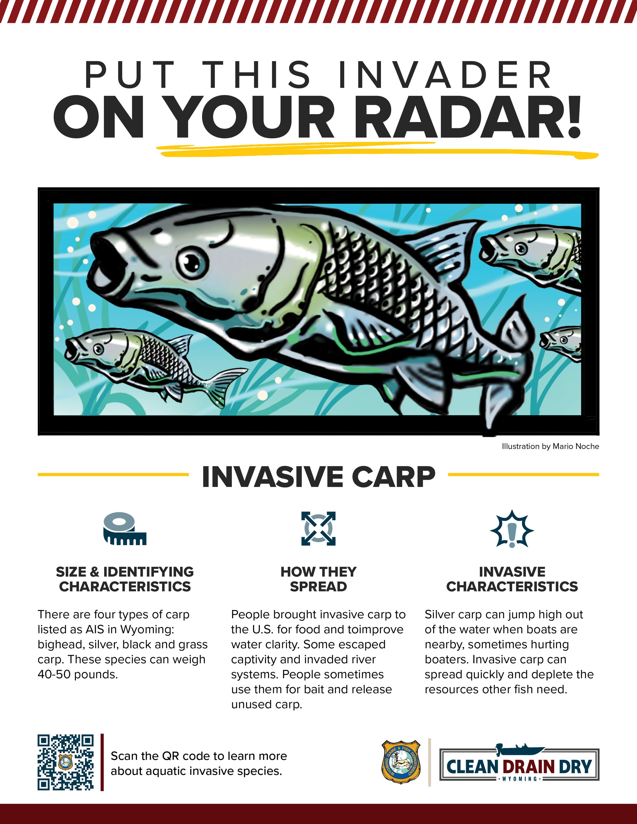 2024_AIS toolkit flyers_2 6 24_09.jpg