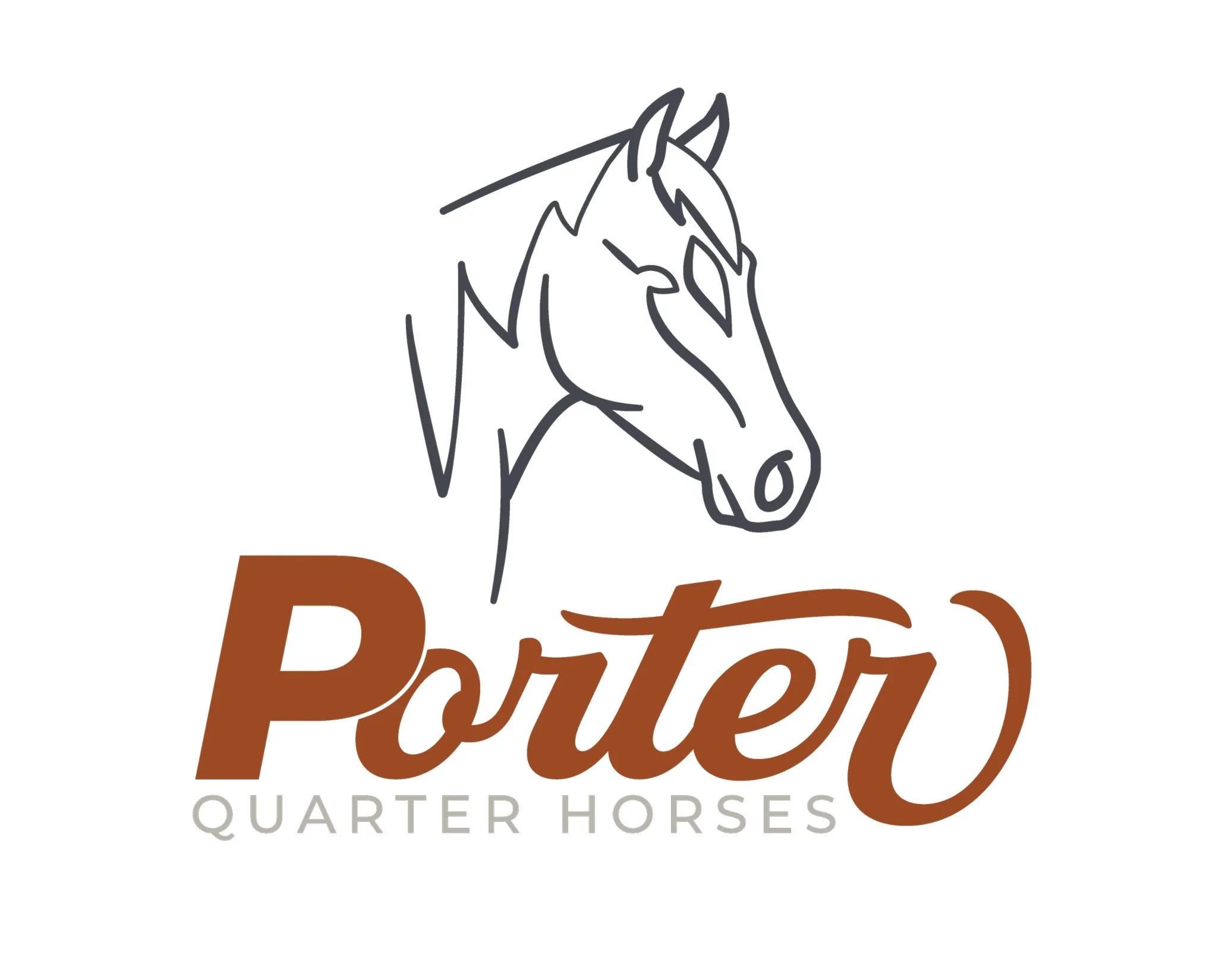porter quarter horse.jpg