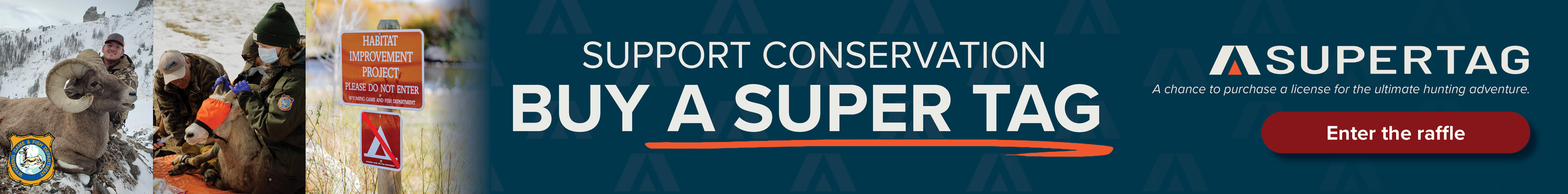 2024_SuperTag_DisplayAds_CSD_4 2 24_2_V2.png