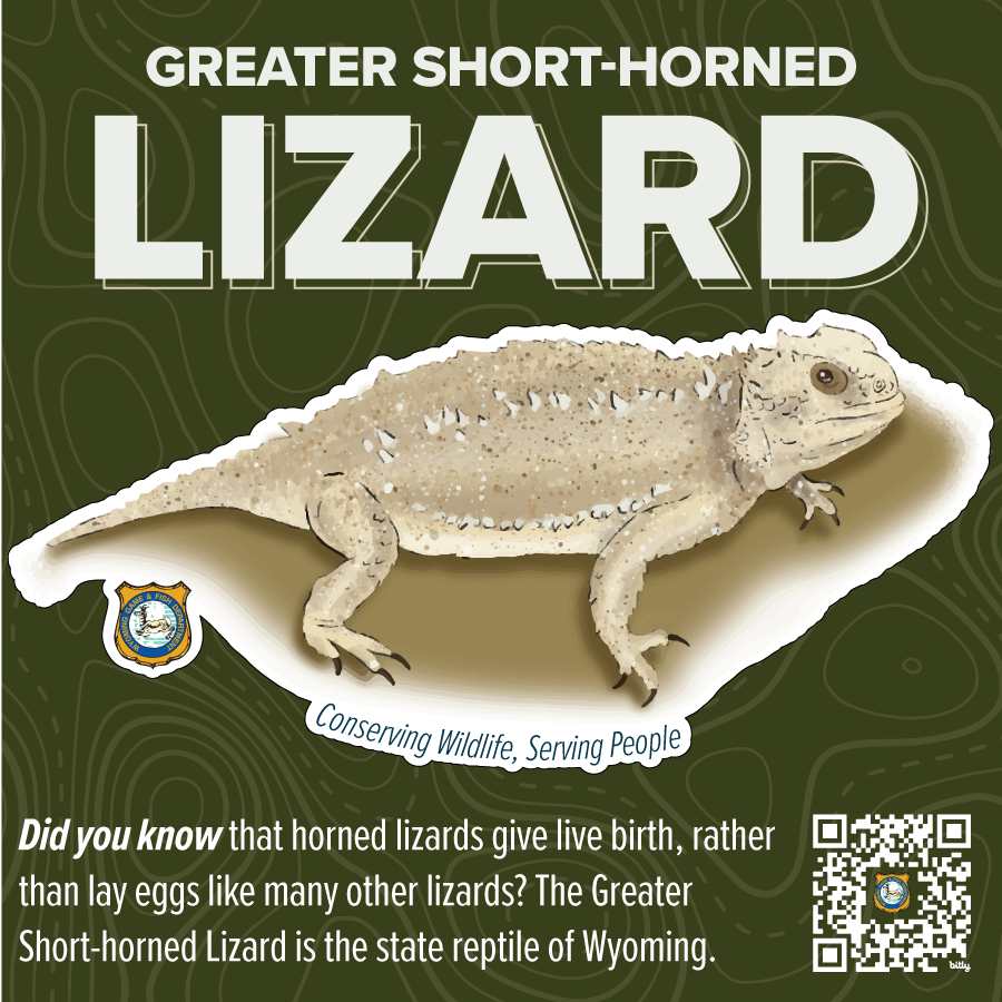 2023_Species Stickers_lizard.png